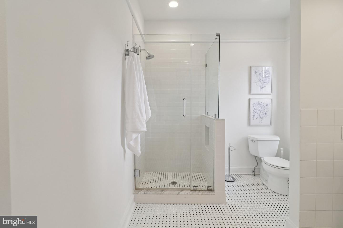 252 11TH ST SE, WASHINGTON, District Of Columbia 20003, 3 Bedrooms Bedrooms, ,3 BathroomsBathrooms,Residential,For sale,252 11TH ST SE,DCDC2209840 MLS # DCDC2209840