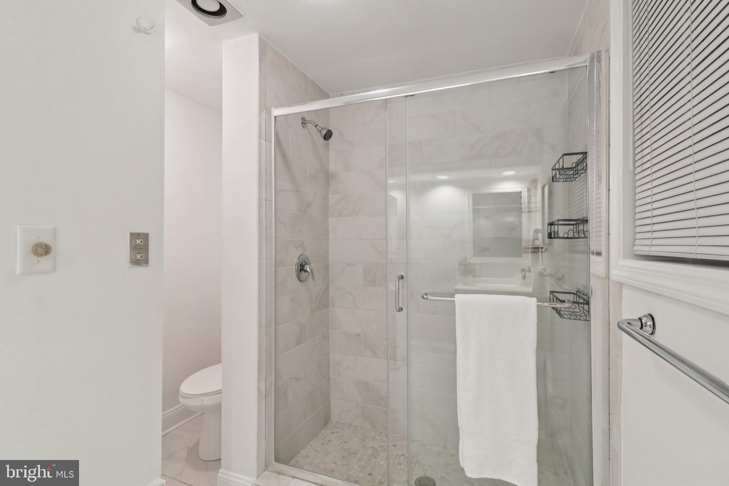252 11TH ST SE, WASHINGTON, District Of Columbia 20003, 3 Bedrooms Bedrooms, ,3 BathroomsBathrooms,Residential,For sale,252 11TH ST SE,DCDC2209840 MLS # DCDC2209840