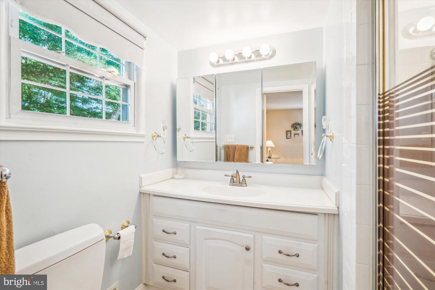 8426 BLAKISTON LN, ALEXANDRIA, Virginia 22308, 5 Bedrooms Bedrooms, ,4 BathroomsBathrooms,Residential,For sale,8426 BLAKISTON LN,VAFX2255248 MLS # VAFX2255248