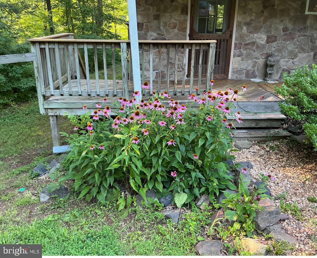 9742 BRENTSVILLE RD, MANASSAS, Virginia 20112, 3 Bedrooms Bedrooms, ,2 BathroomsBathrooms,Residential,For sale,9742 BRENTSVILLE RD,VAPW2099348 MLS # VAPW2099348