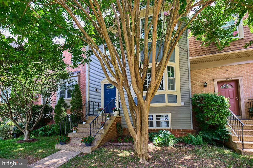 7084 SOLOMON SEAL CT, SPRINGFIELD, Virginia 22152, 3 Bedrooms Bedrooms, ,3 BathroomsBathrooms,Residential,For sale,7084 SOLOMON SEAL CT,VAFX2255918 MLS # VAFX2255918