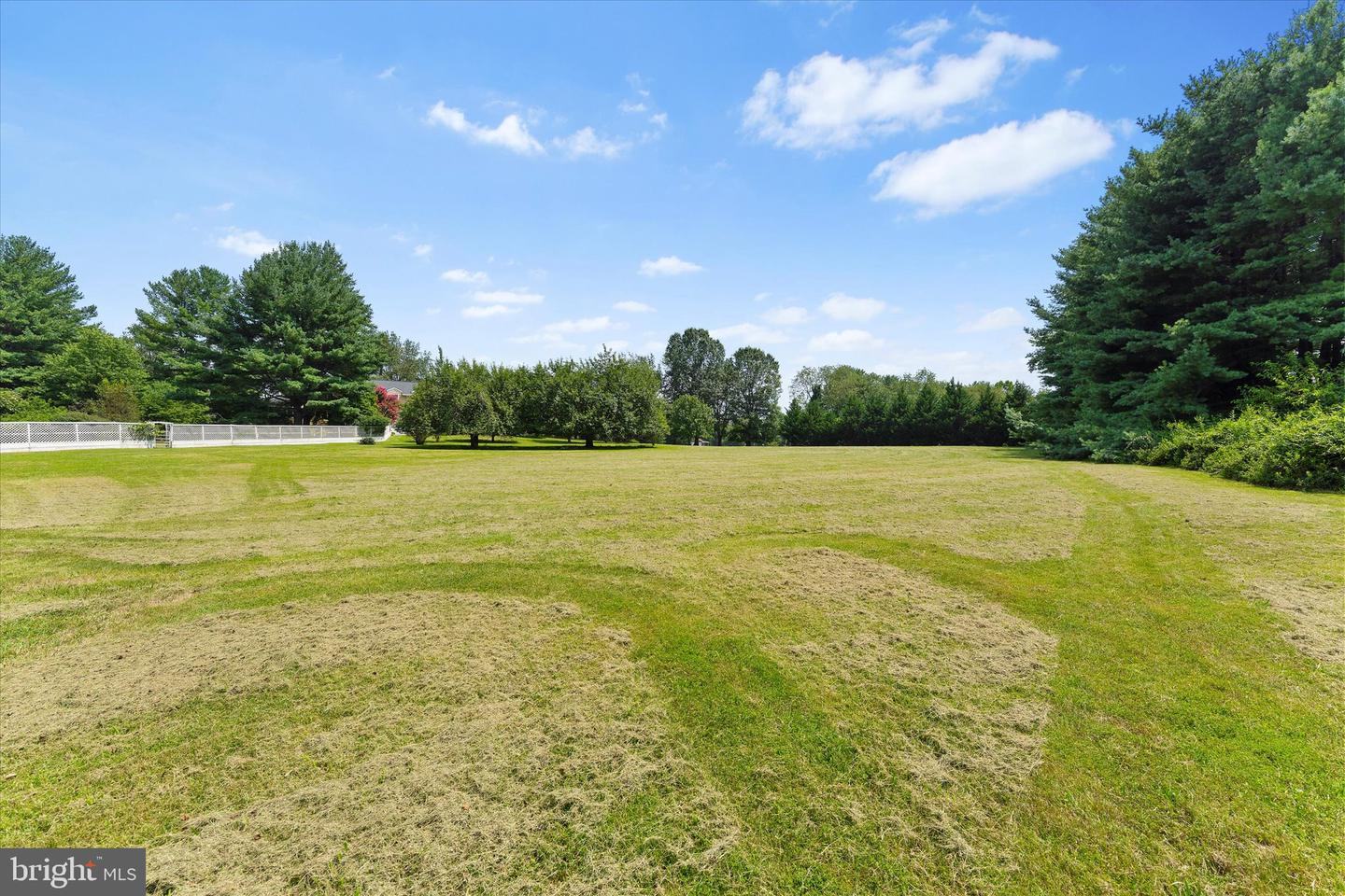 16764 HILLSBORO RD, PURCELLVILLE, Virginia 20132, ,Land,For sale,16764 HILLSBORO RD,VALO2102966 MLS # VALO2102966