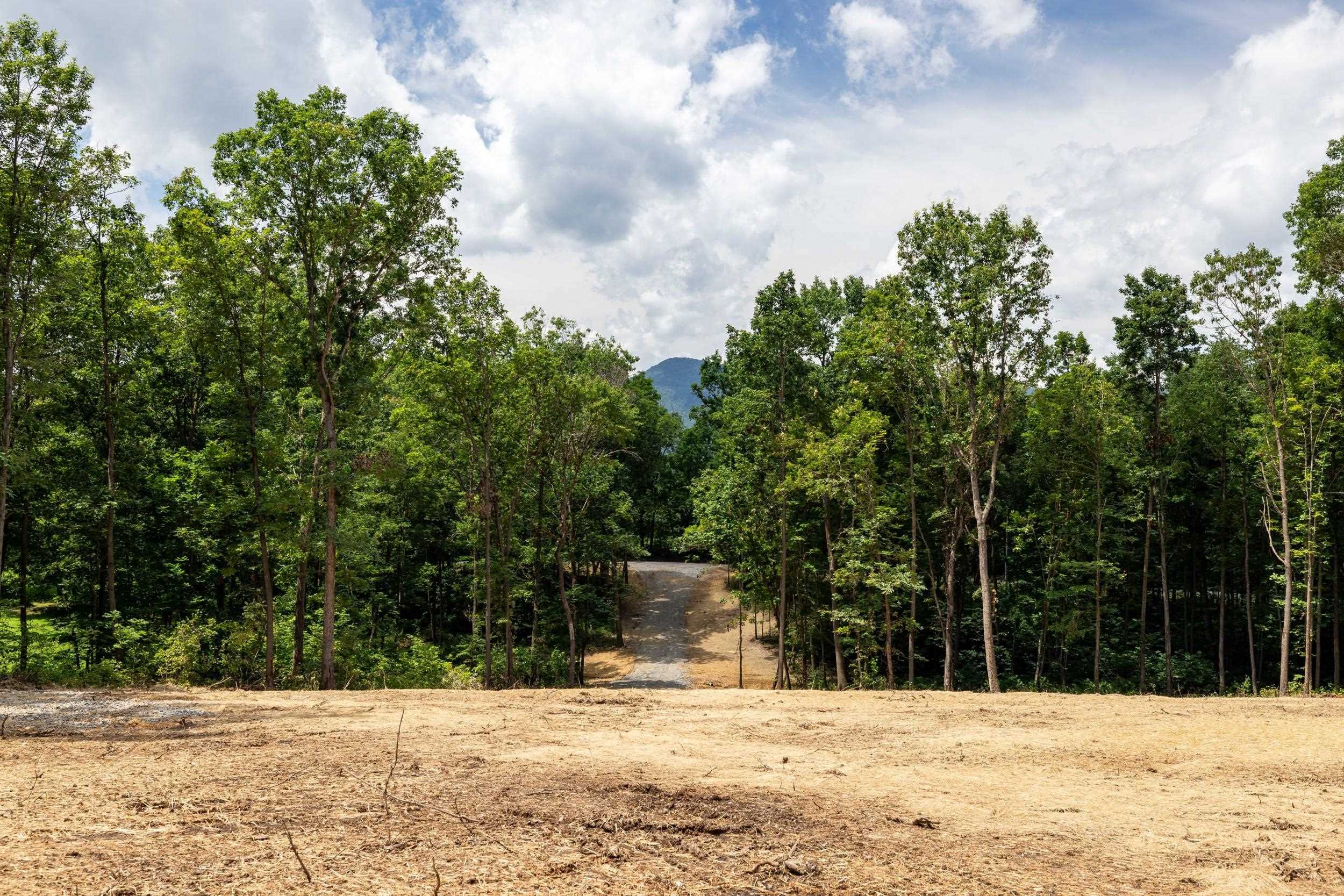 15 MONT VIEW LN, LURAY, Virginia 22835, ,Land,15 MONT VIEW LN,667242 MLS # 667242