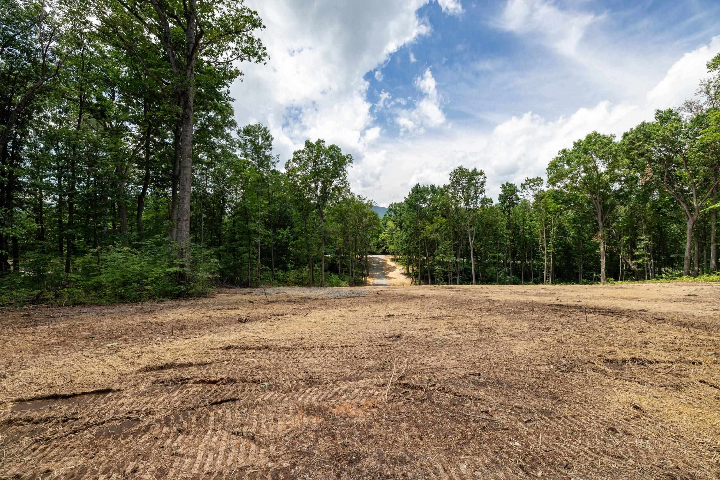 15 MONT VIEW LN, LURAY, Virginia 22835, ,Land,15 MONT VIEW LN,667242 MLS # 667242