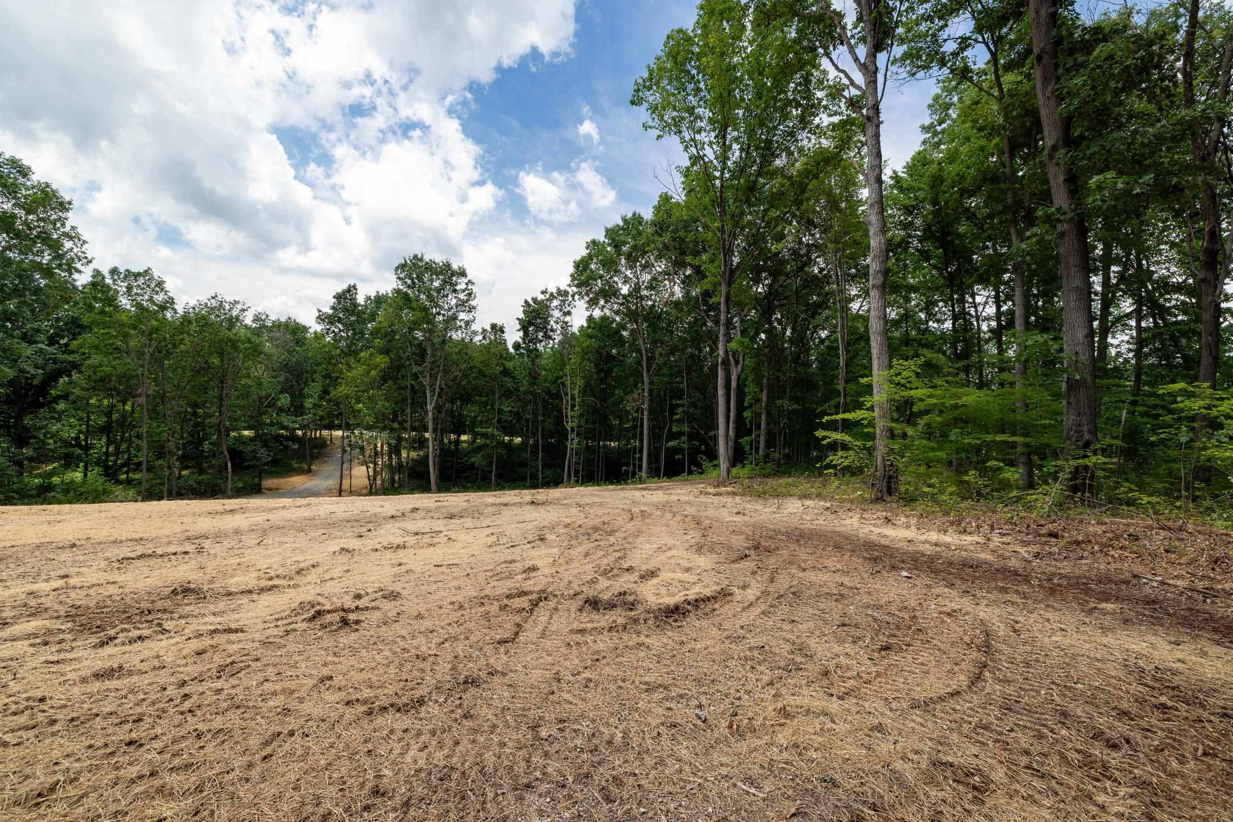 15 MONT VIEW LN, LURAY, Virginia 22835, ,Land,15 MONT VIEW LN,667242 MLS # 667242