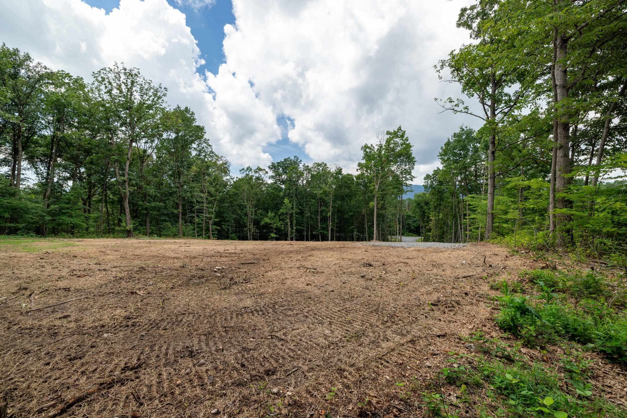 14 MONT VIEW LN, LURAY, Virginia 22835, ,Land,14 MONT VIEW LN,667244 MLS # 667244