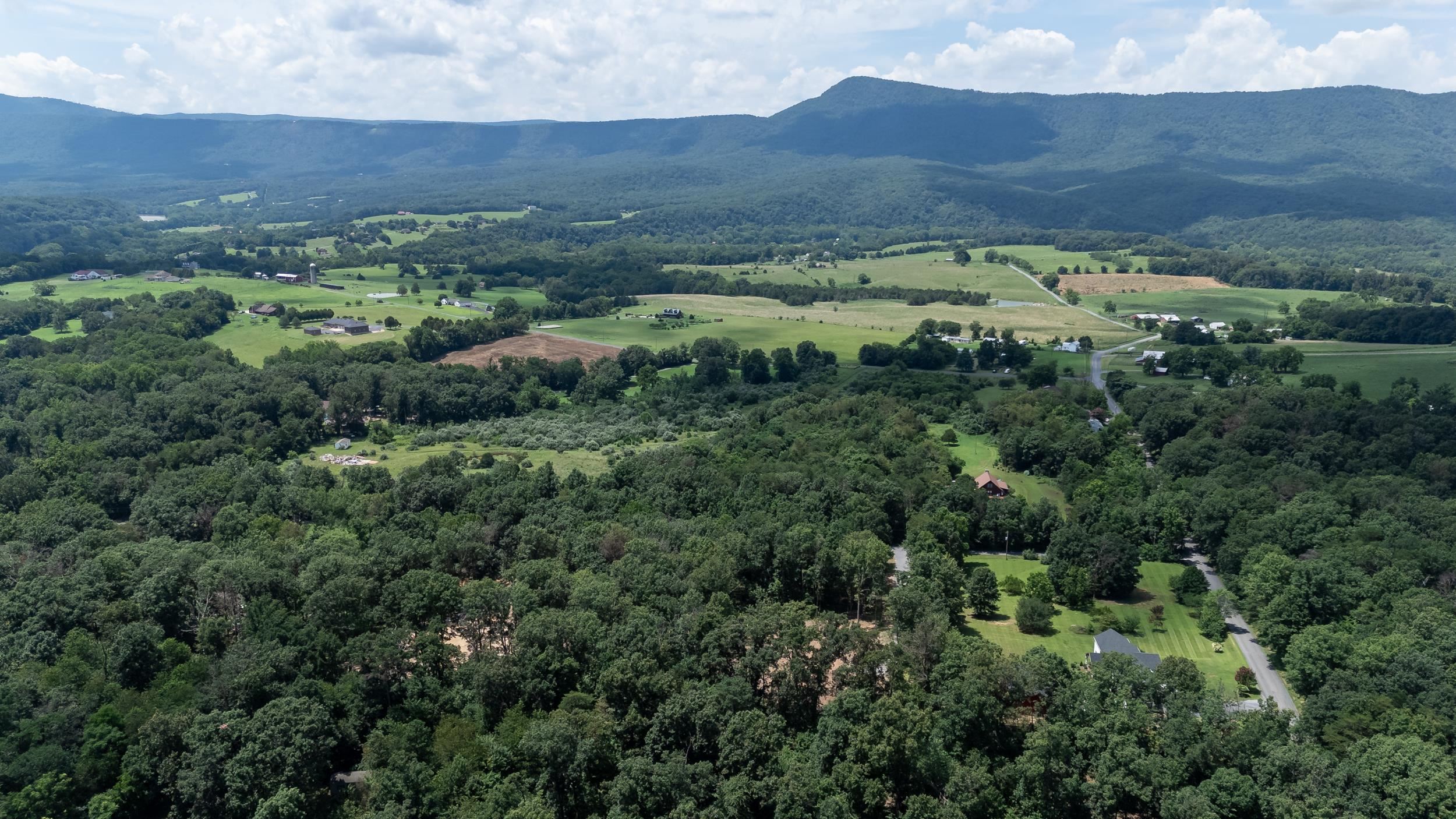 14 MONT VIEW LN, LURAY, Virginia 22835, ,Land,14 MONT VIEW LN,667244 MLS # 667244