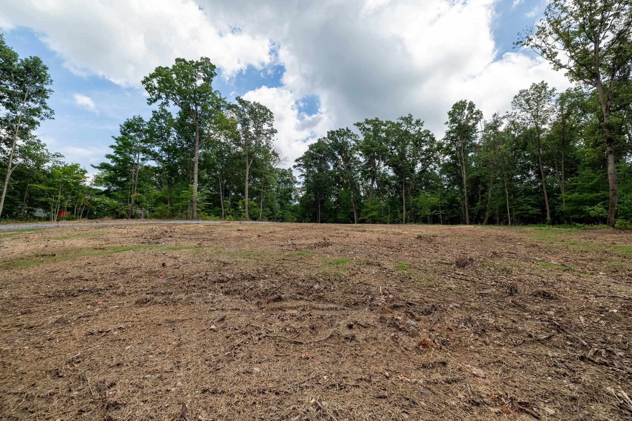 14 MONT VIEW LN, LURAY, Virginia 22835, ,Land,14 MONT VIEW LN,667244 MLS # 667244