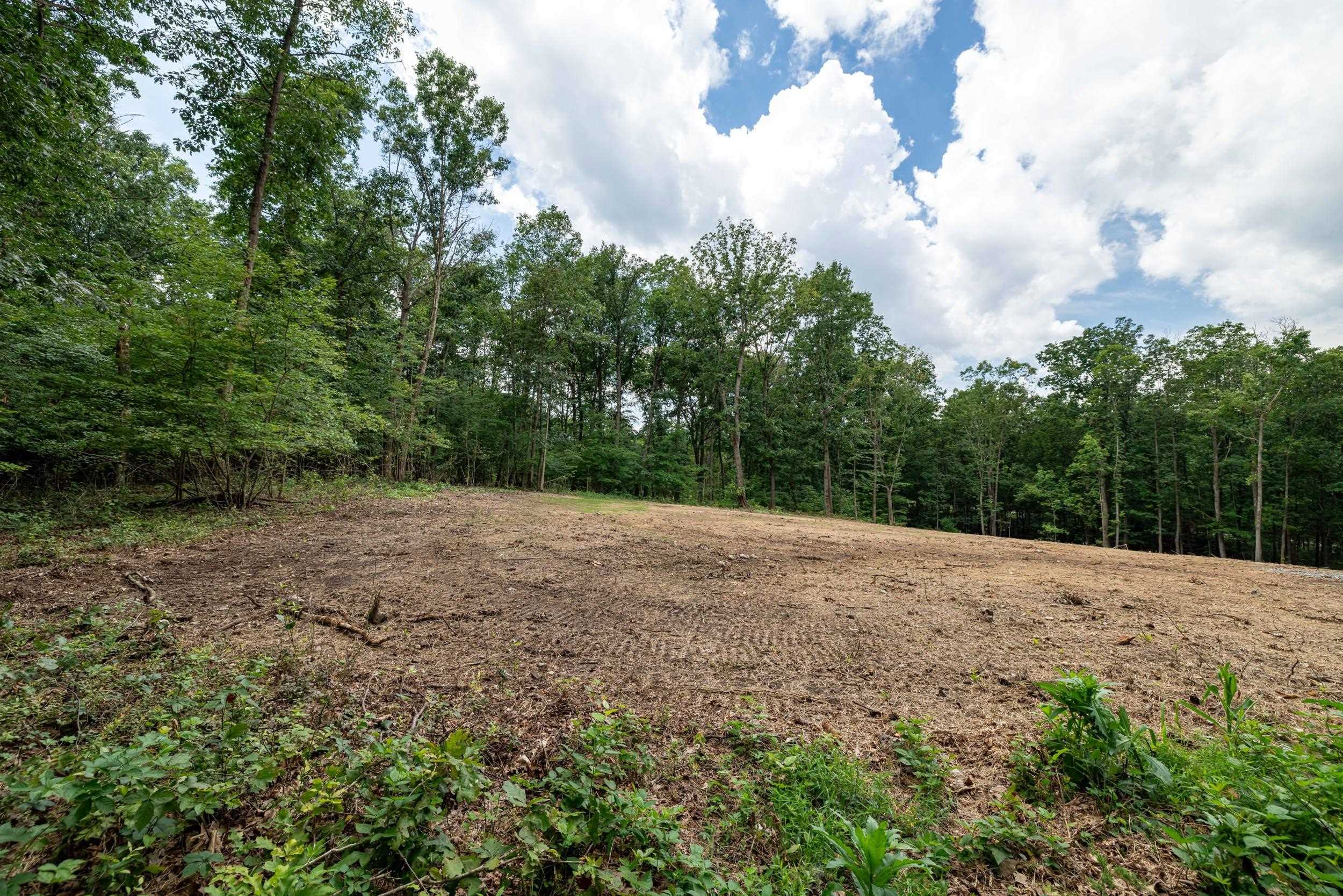 14 MONT VIEW LN, LURAY, Virginia 22835, ,Land,14 MONT VIEW LN,667244 MLS # 667244
