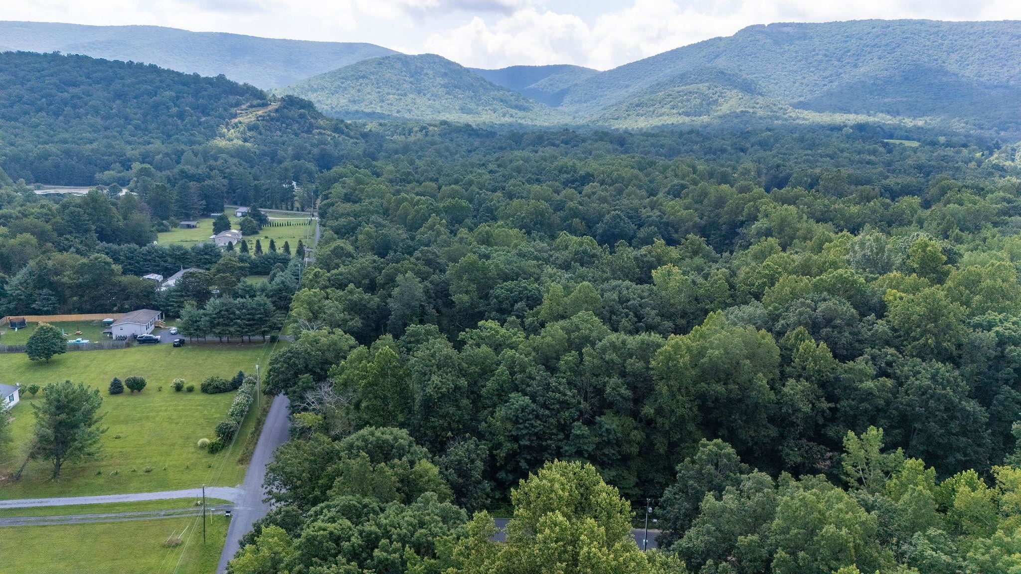 TBD CRIMORA MINE RD, CRIMORA, Virginia 24431, ,Land,TBD CRIMORA MINE RD,667247 MLS # 667247