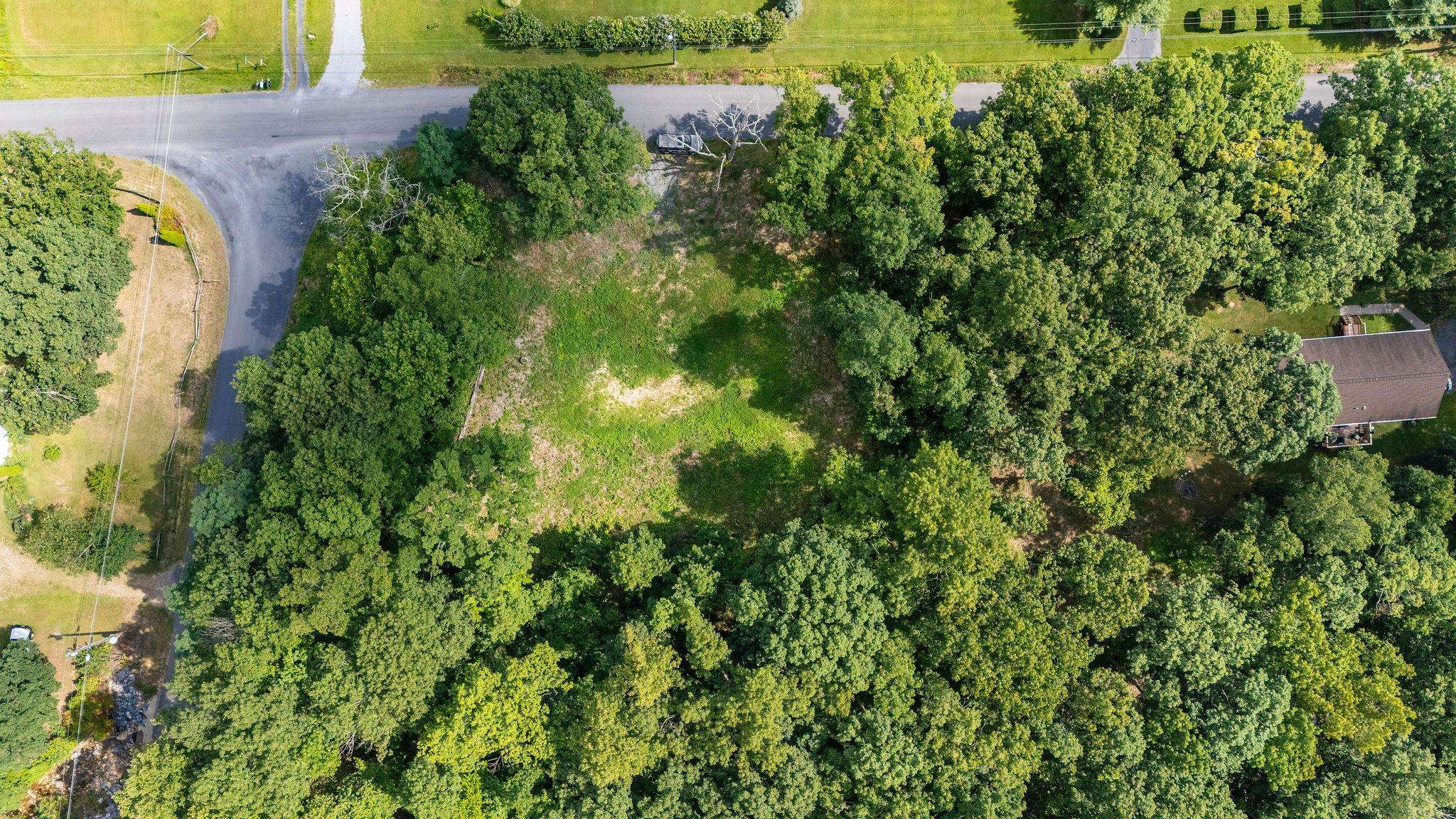 TBD CRIMORA MINE RD, CRIMORA, Virginia 24431, ,Land,TBD CRIMORA MINE RD,667247 MLS # 667247
