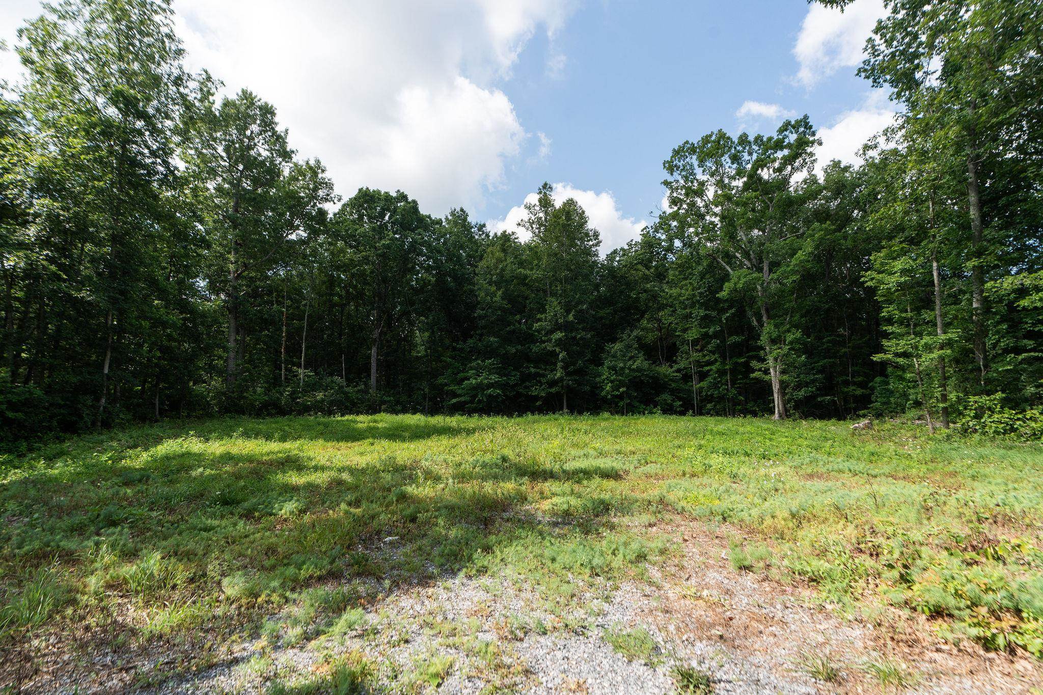 TBD CRIMORA MINE RD, CRIMORA, Virginia 24431, ,Land,TBD CRIMORA MINE RD,667247 MLS # 667247