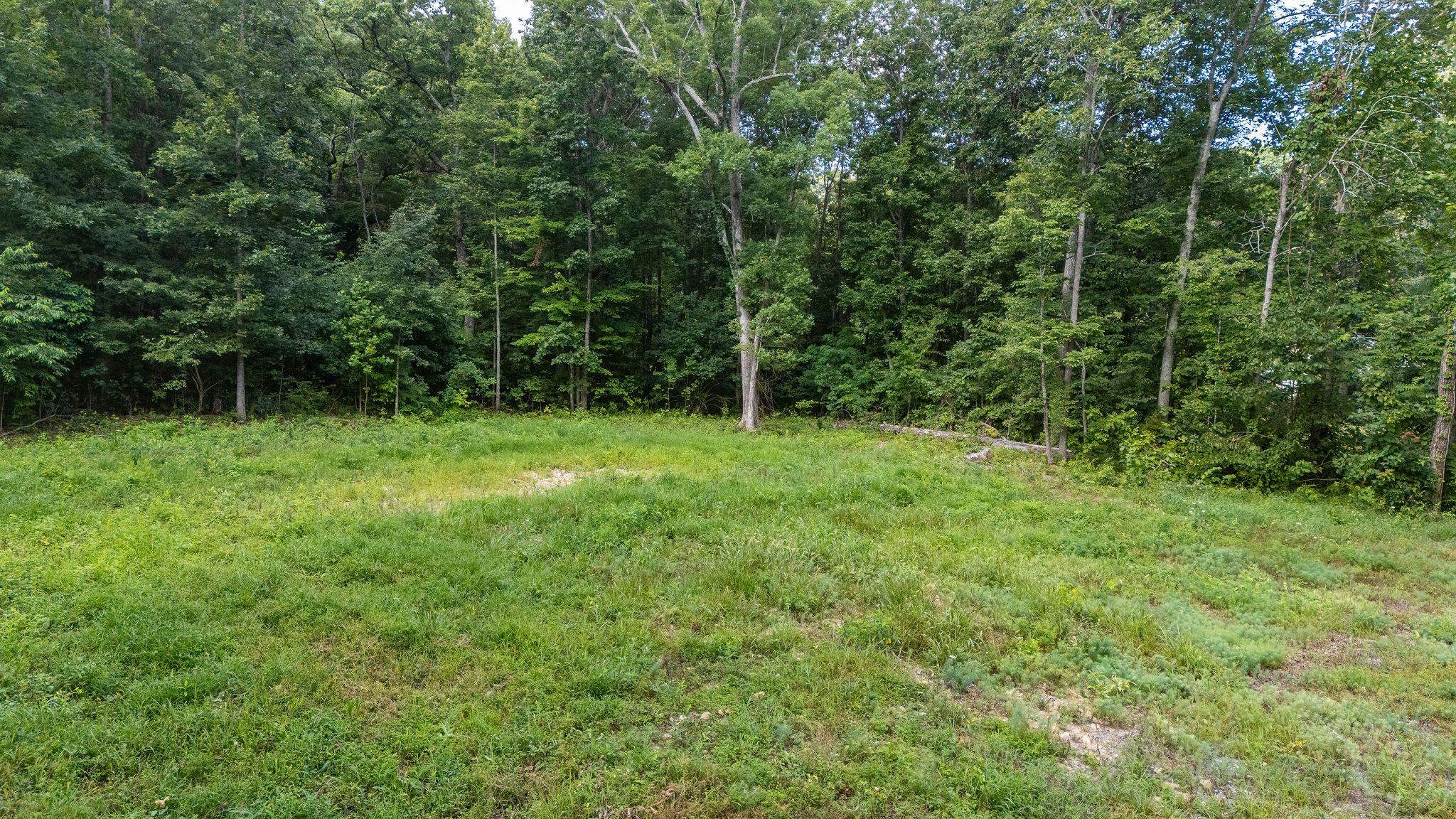 TBD CRIMORA MINE RD, CRIMORA, Virginia 24431, ,Land,TBD CRIMORA MINE RD,667247 MLS # 667247