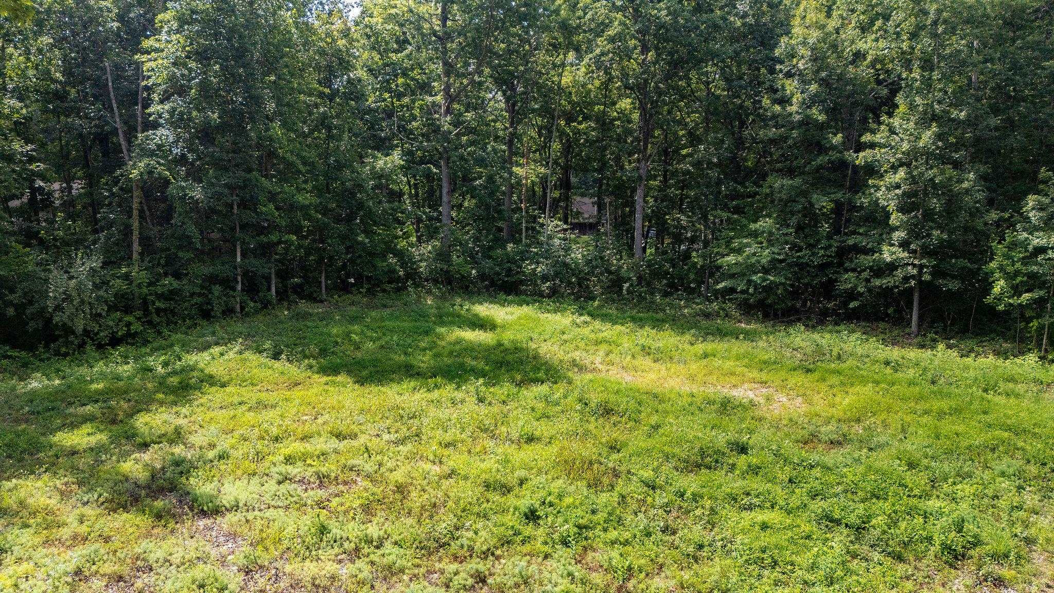 TBD CRIMORA MINE RD, CRIMORA, Virginia 24431, ,Land,TBD CRIMORA MINE RD,667247 MLS # 667247