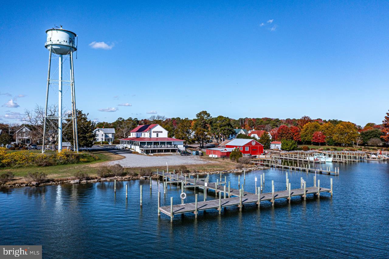 729 MAIN ST, REEDVILLE, Virginia 22539, ,Land,For sale,729 MAIN ST,VANV2001704 MLS # VANV2001704