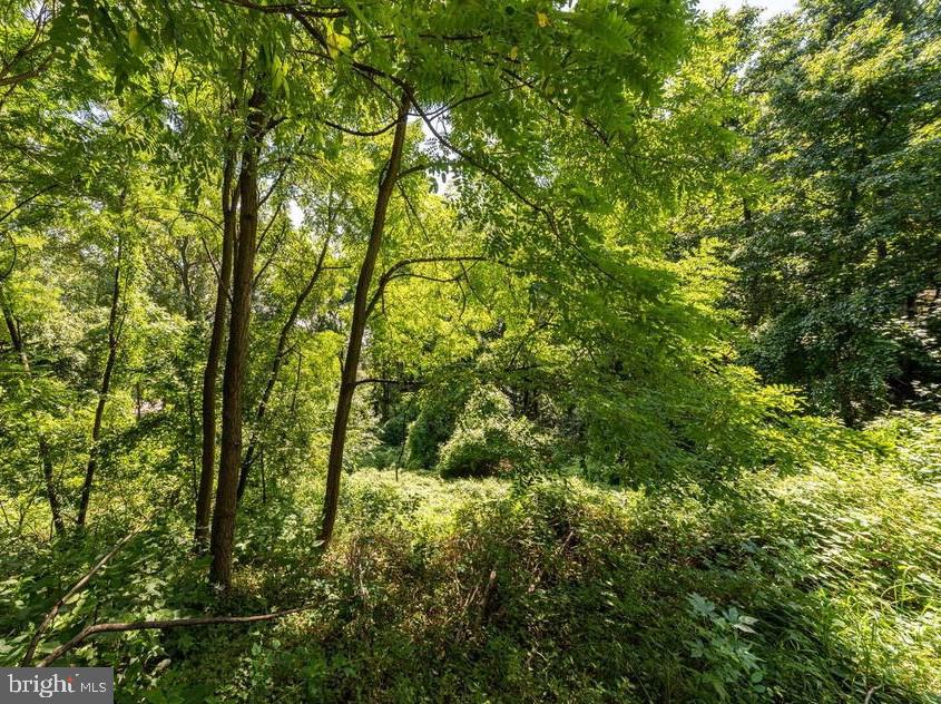 1101 FINLEY LN, ALEXANDRIA, Virginia 22304, ,Land,For sale,1101 FINLEY LN,VAAX2027760 MLS # VAAX2027760