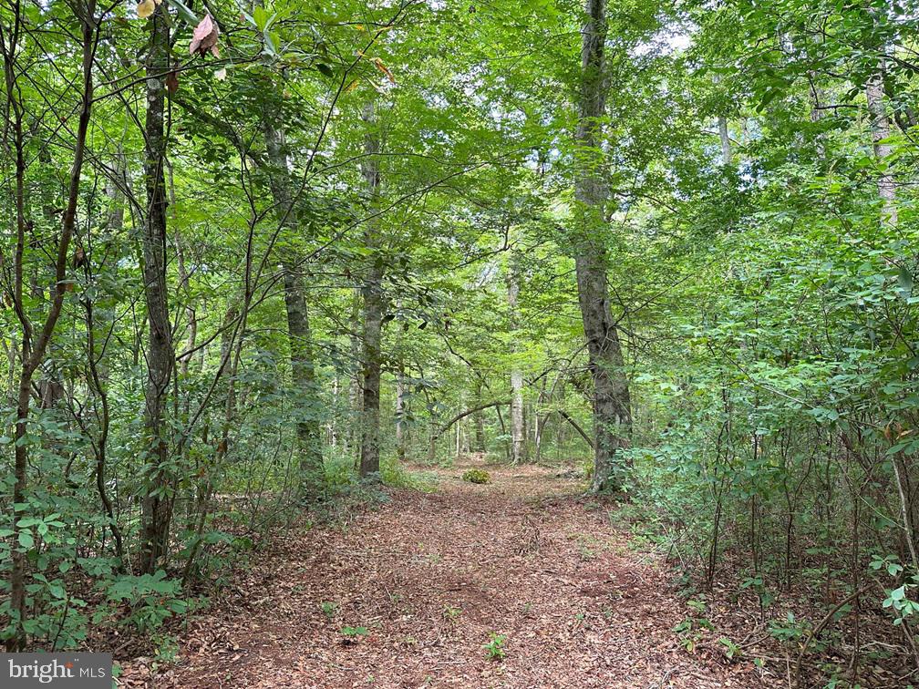 MUNDEN POINT ROAD (TRACT: VA BEACH RIGGS), VIRGINIA BEACH, Virginia 23457, ,Land,For sale,MUNDEN POINT ROAD (TRACT: VA BEACH RIGGS),VAVB2000538 MLS # VAVB2000538