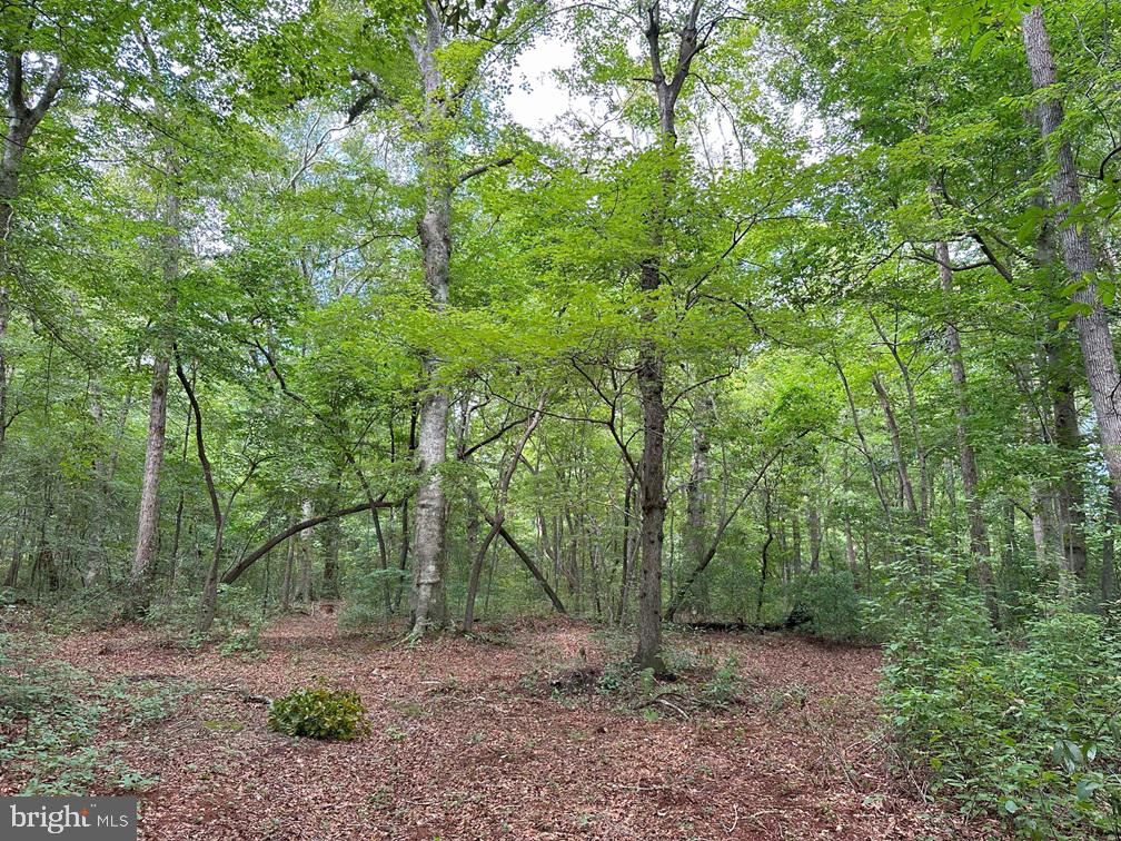 MUNDEN POINT ROAD (TRACT: VA BEACH RIGGS), VIRGINIA BEACH, Virginia 23457, ,Land,For sale,MUNDEN POINT ROAD (TRACT: VA BEACH RIGGS),VAVB2000538 MLS # VAVB2000538