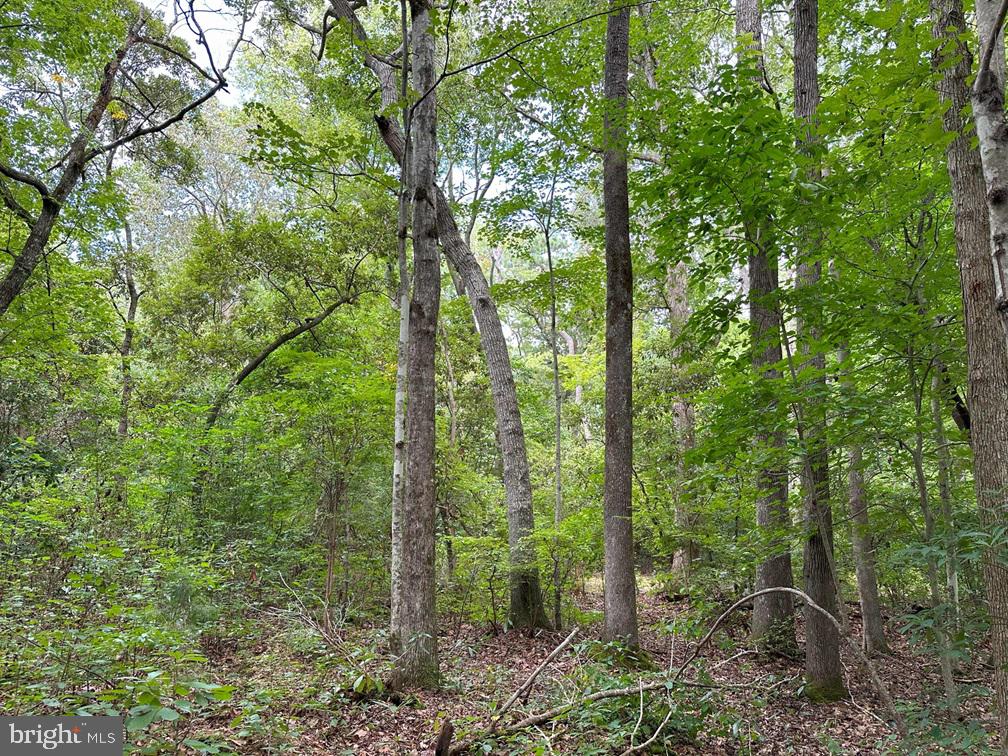 MUNDEN POINT ROAD (TRACT: VA BEACH RIGGS), VIRGINIA BEACH, Virginia 23457, ,Land,For sale,MUNDEN POINT ROAD (TRACT: VA BEACH RIGGS),VAVB2000538 MLS # VAVB2000538