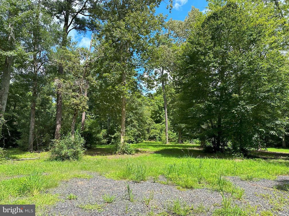 MUNDEN POINT ROAD (TRACT: VA BEACH RIGGS), VIRGINIA BEACH, Virginia 23457, ,Land,For sale,MUNDEN POINT ROAD (TRACT: VA BEACH RIGGS),VAVB2000538 MLS # VAVB2000538