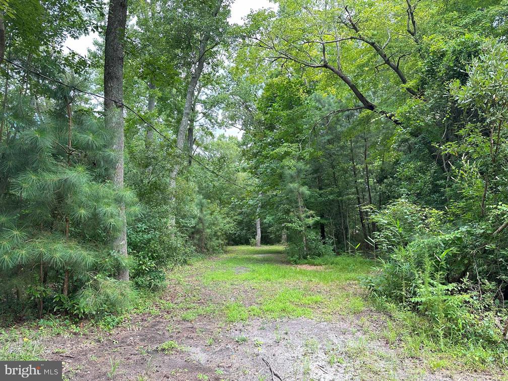 MUNDEN POINT ROAD (TRACT: VA BEACH RIGGS), VIRGINIA BEACH, Virginia 23457, ,Land,For sale,MUNDEN POINT ROAD (TRACT: VA BEACH RIGGS),VAVB2000538 MLS # VAVB2000538