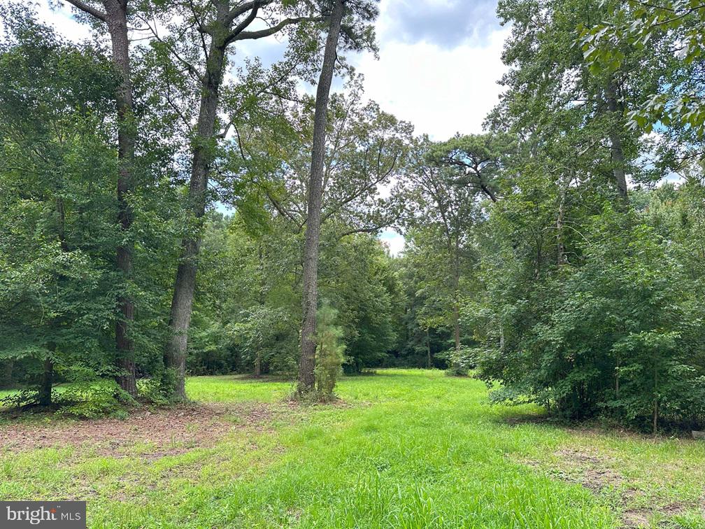 MUNDEN POINT ROAD (TRACT: VA BEACH RIGGS), VIRGINIA BEACH, Virginia 23457, ,Land,For sale,MUNDEN POINT ROAD (TRACT: VA BEACH RIGGS),VAVB2000538 MLS # VAVB2000538
