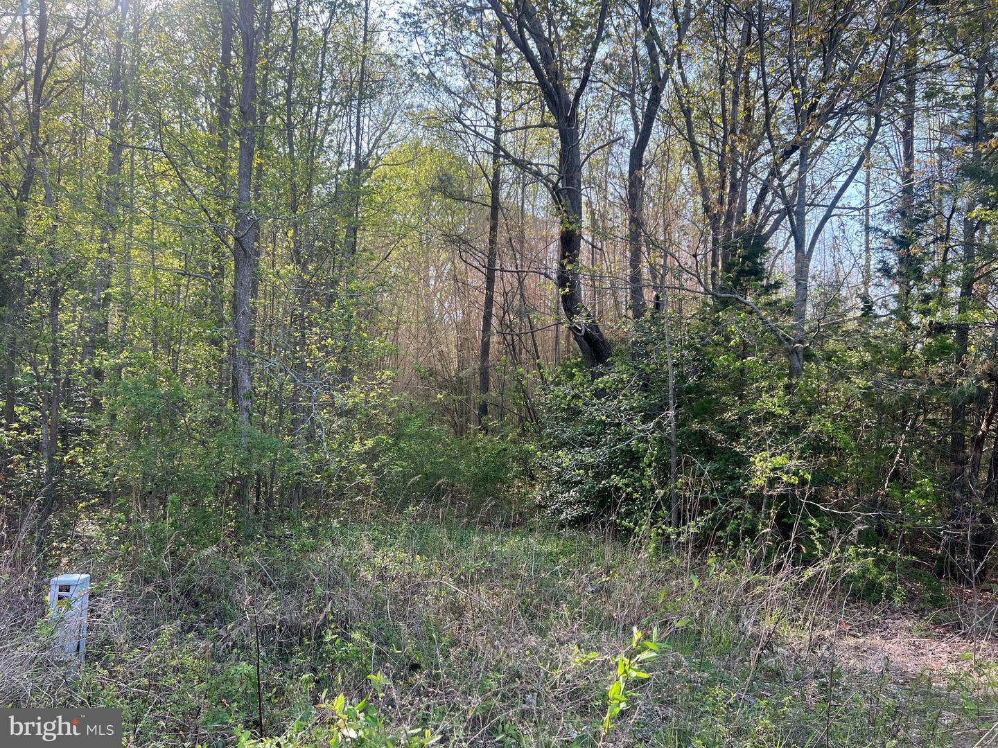 LOT 1 MT HOLLY RD, MONTROSS, Virginia 22520, ,Land,For sale,LOT 1 MT HOLLY RD,VAWE2008740 MLS # VAWE2008740