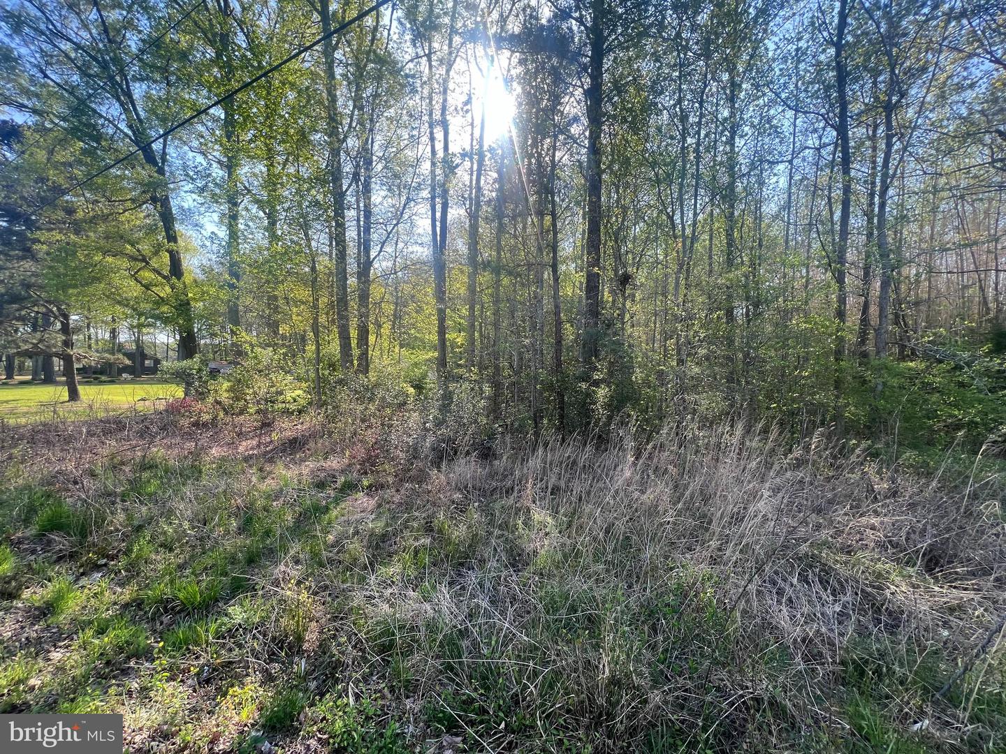 LOT 1 MT HOLLY RD, MONTROSS, Virginia 22520, ,Land,For sale,LOT 1 MT HOLLY RD,VAWE2008740 MLS # VAWE2008740