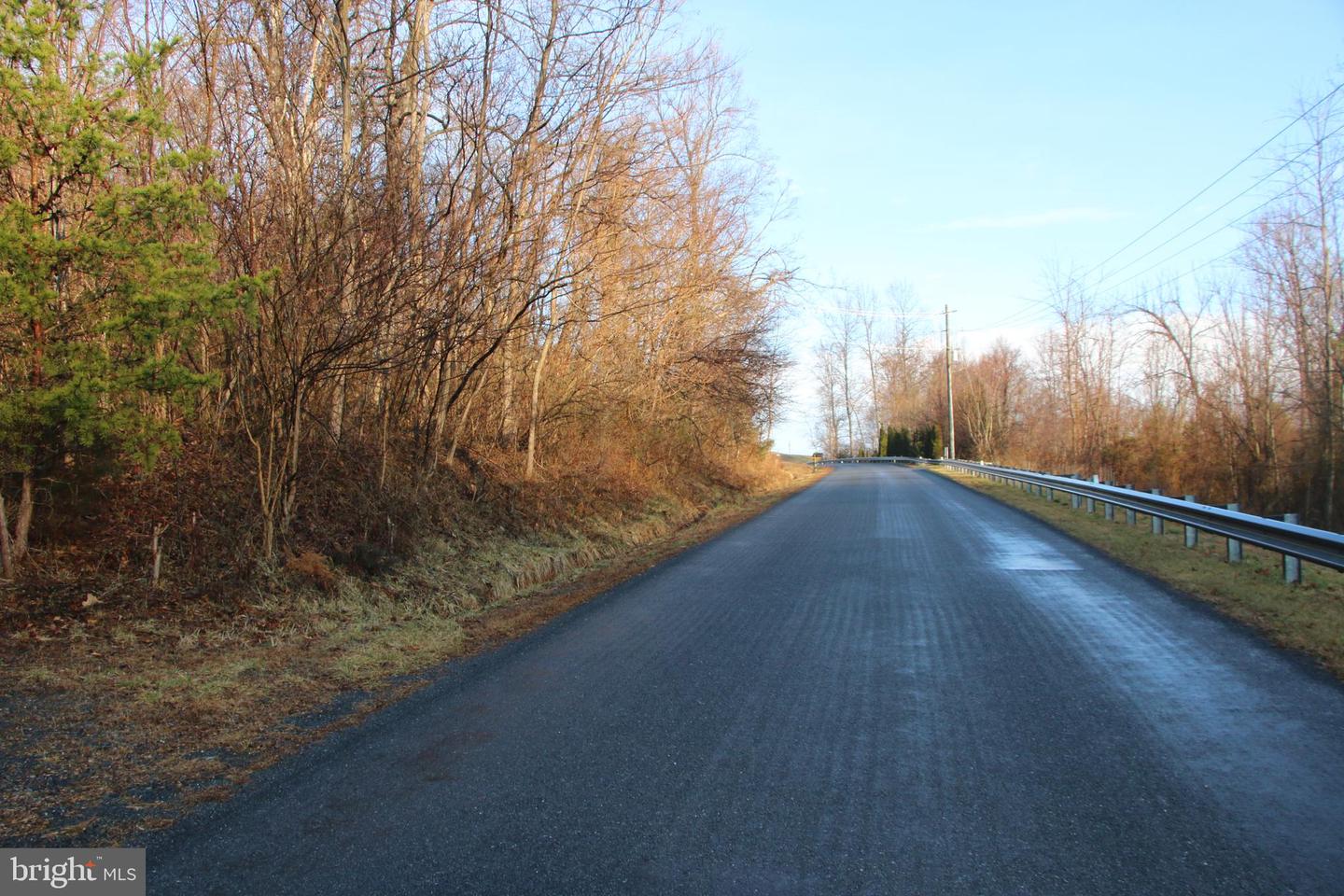 BUCK MOUNTAIN RD, BENTONVILLE, Virginia 22610, ,Land,For sale,BUCK MOUNTAIN RD,VAWR2011820 MLS # VAWR2011820