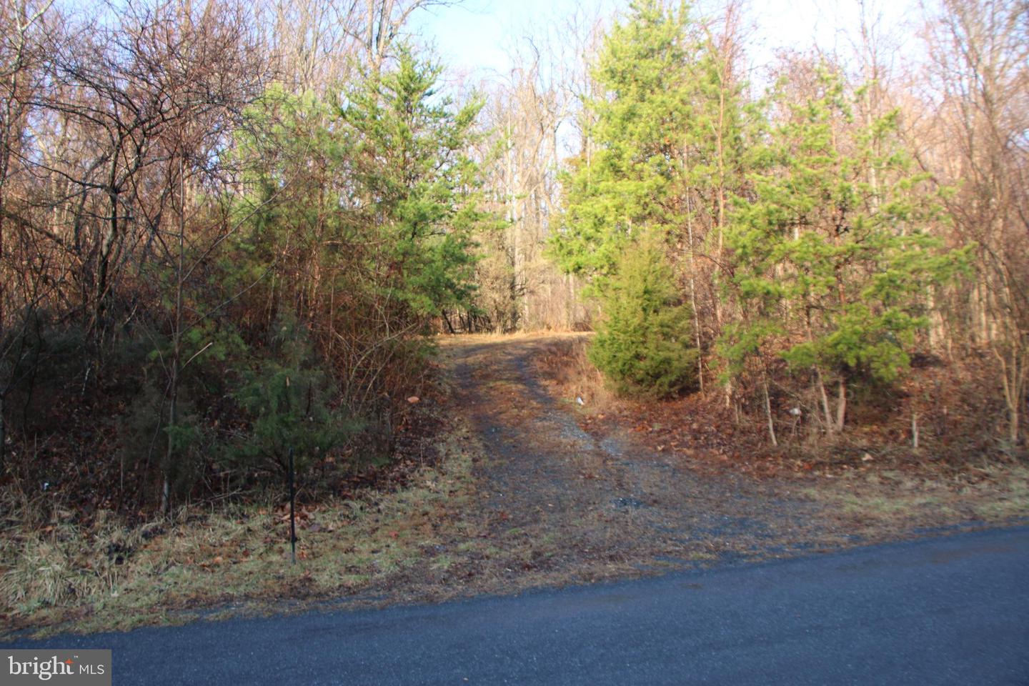BUCK MOUNTAIN RD, BENTONVILLE, Virginia 22610, ,Land,For sale,BUCK MOUNTAIN RD,VAWR2011820 MLS # VAWR2011820