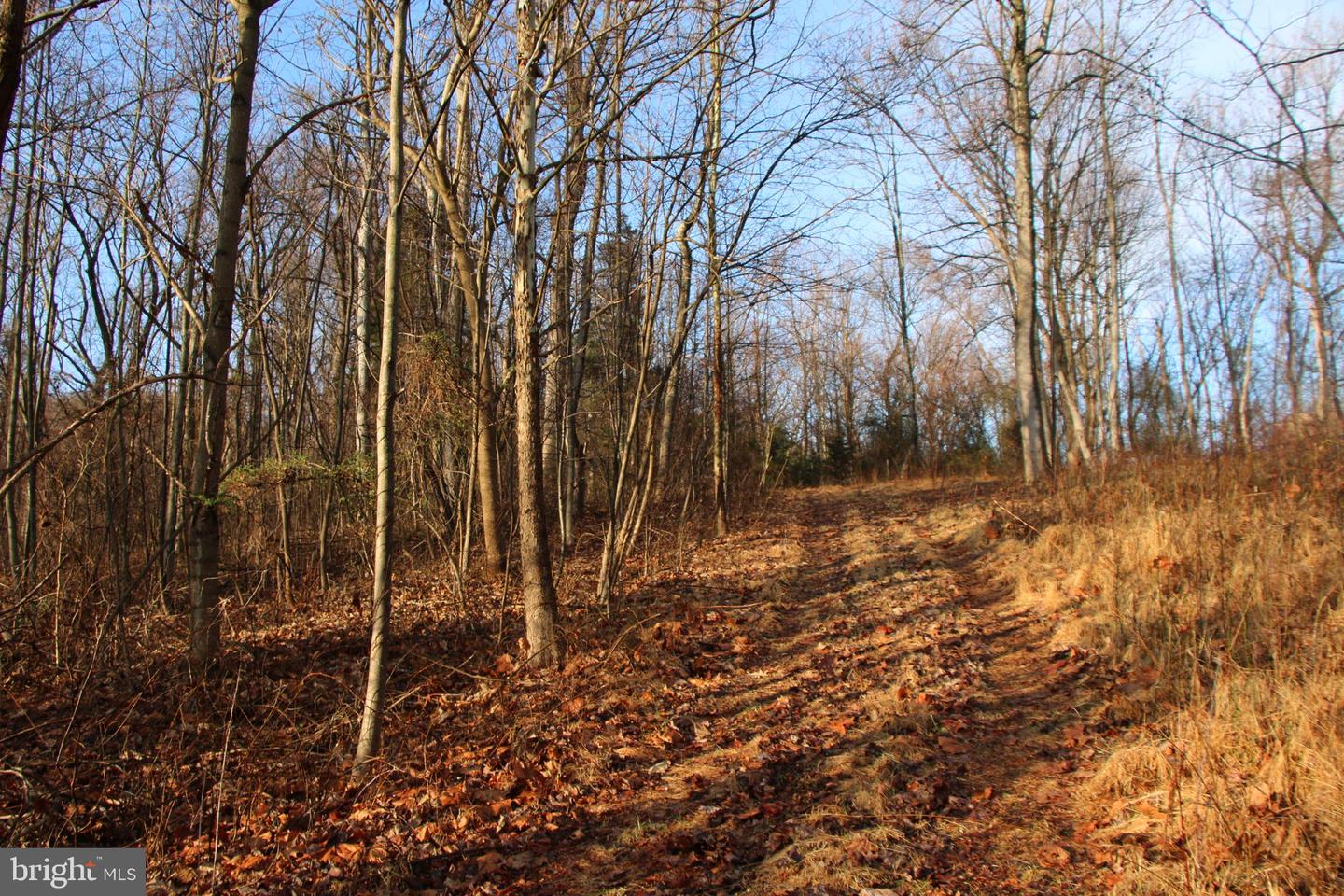 BUCK MOUNTAIN RD, BENTONVILLE, Virginia 22610, ,Land,For sale,BUCK MOUNTAIN RD,VAWR2011820 MLS # VAWR2011820