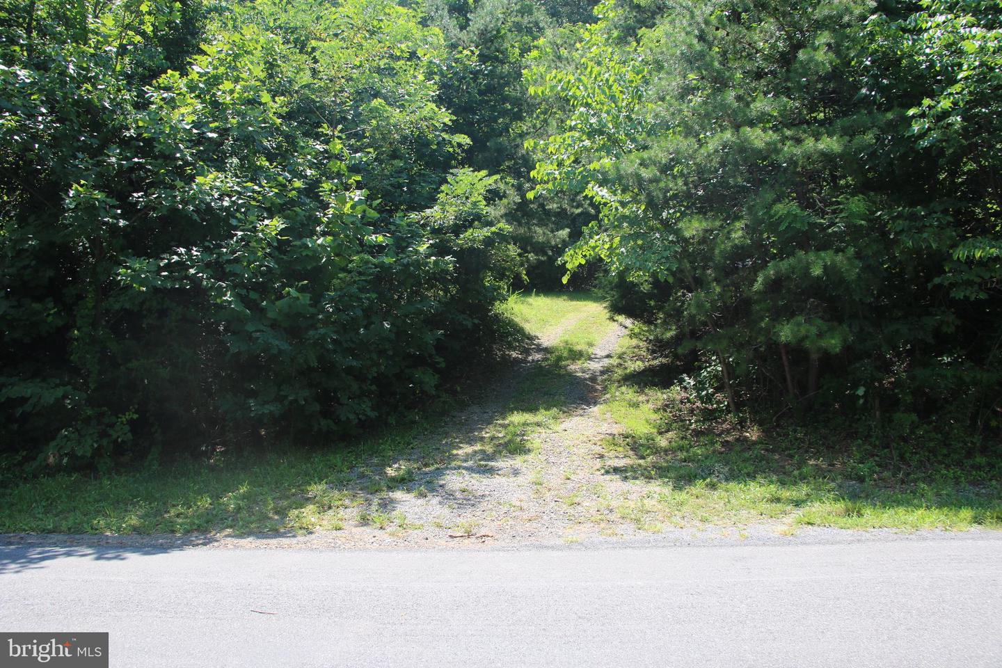 BUCK MOUNTAIN RD, BENTONVILLE, Virginia 22610, ,Land,For sale,BUCK MOUNTAIN RD,VAWR2011820 MLS # VAWR2011820