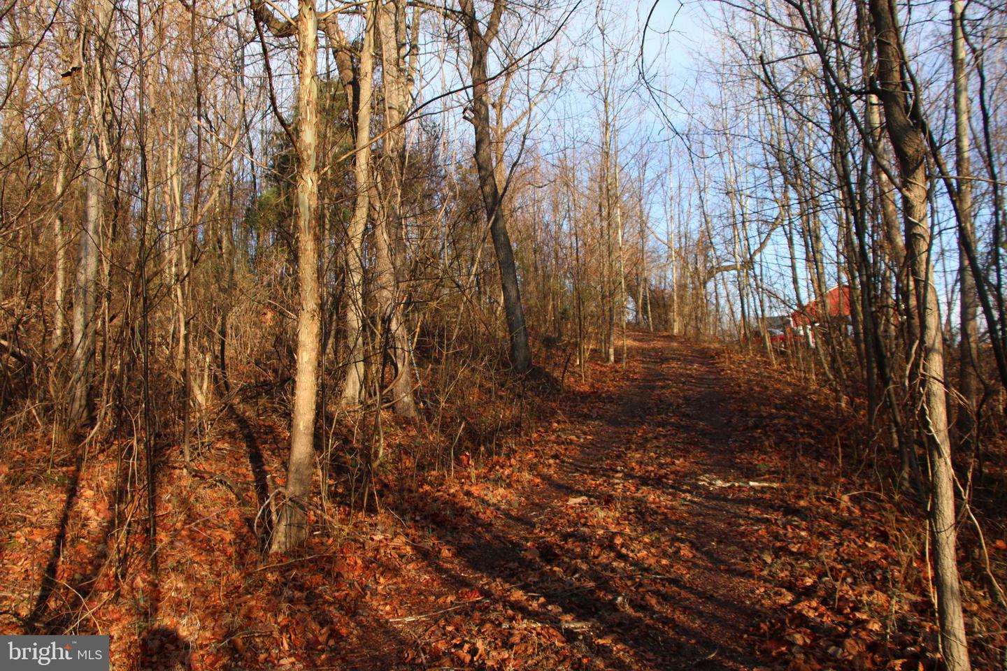 BUCK MOUNTAIN RD, BENTONVILLE, Virginia 22610, ,Land,For sale,BUCK MOUNTAIN RD,VAWR2011820 MLS # VAWR2011820