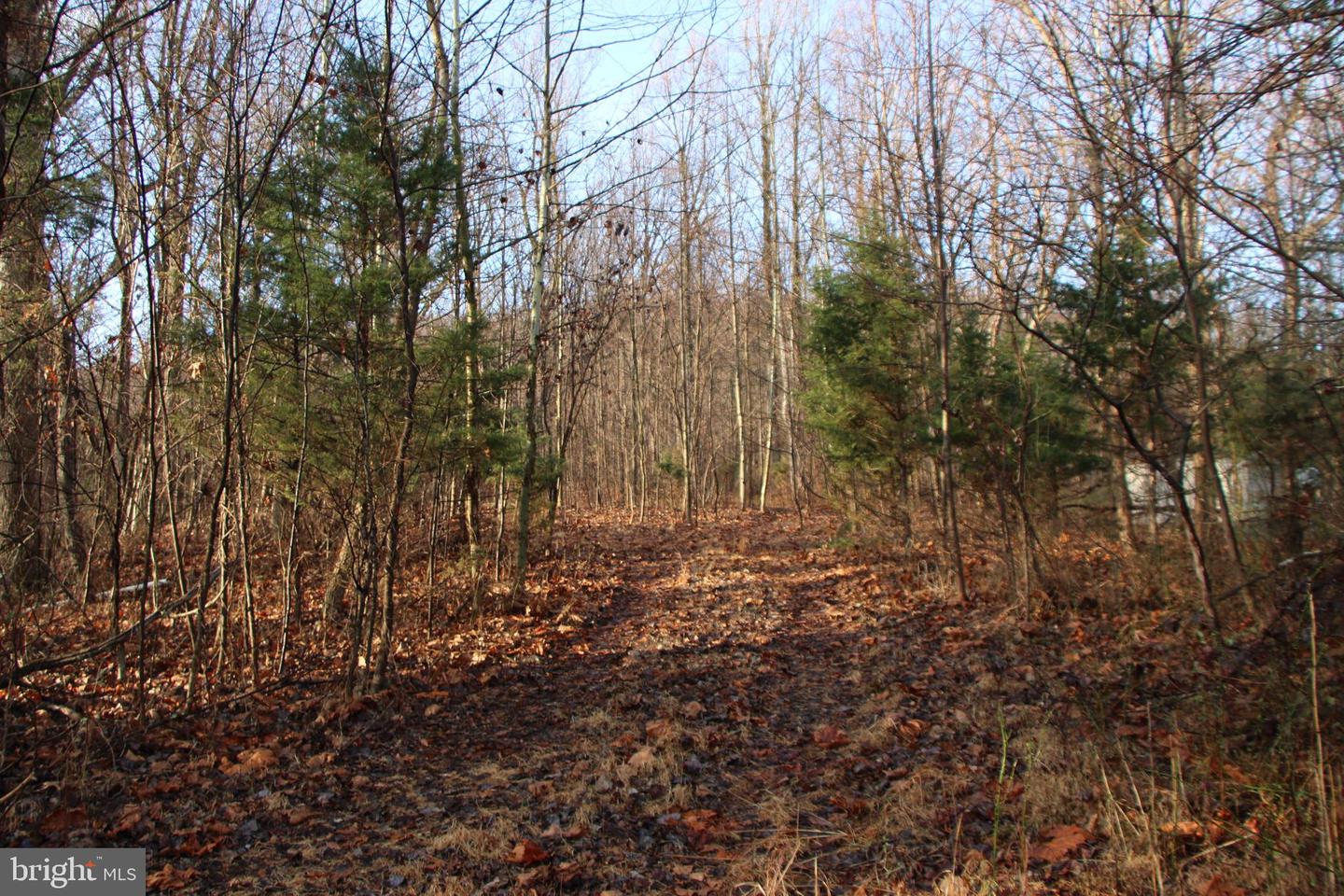 BUCK MOUNTAIN RD, BENTONVILLE, Virginia 22610, ,Land,For sale,BUCK MOUNTAIN RD,VAWR2011820 MLS # VAWR2011820