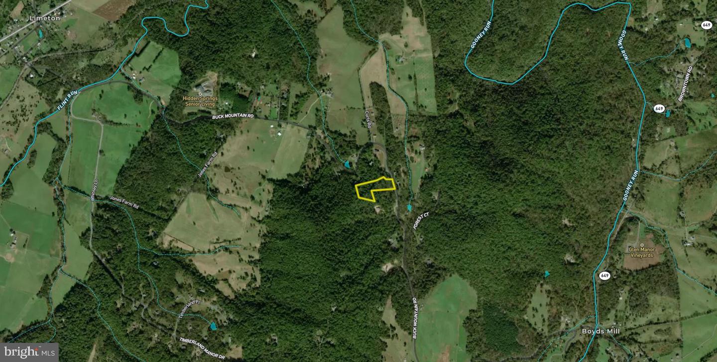 BUCK MOUNTAIN RD, BENTONVILLE, Virginia 22610, ,Land,For sale,BUCK MOUNTAIN RD,VAWR2011820 MLS # VAWR2011820