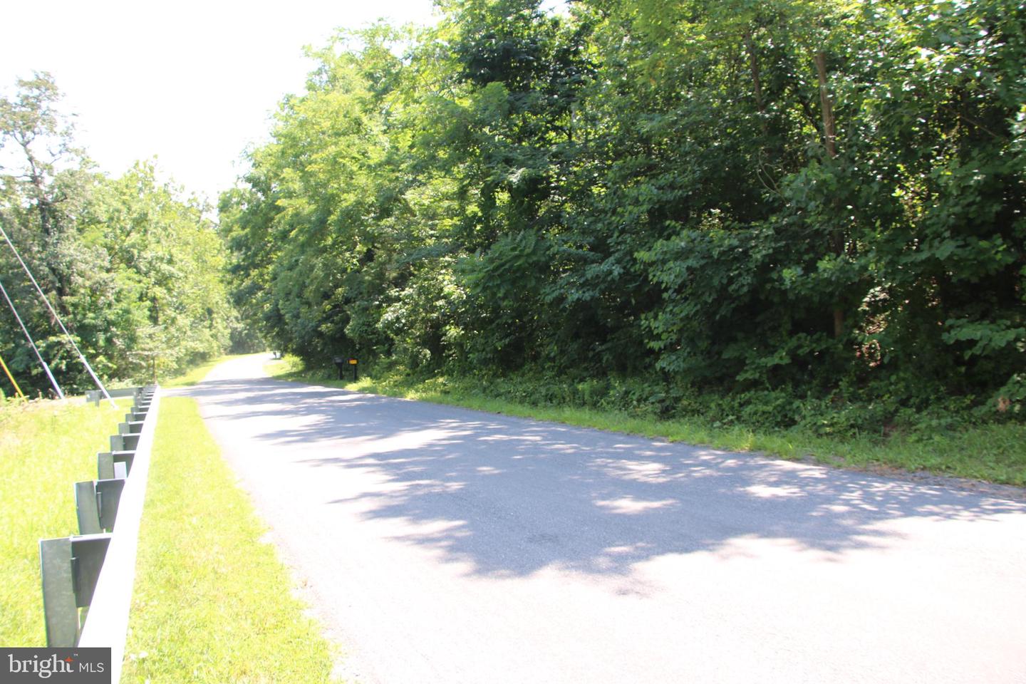 BUCK MOUNTAIN RD, BENTONVILLE, Virginia 22610, ,Land,For sale,BUCK MOUNTAIN RD,VAWR2011820 MLS # VAWR2011820
