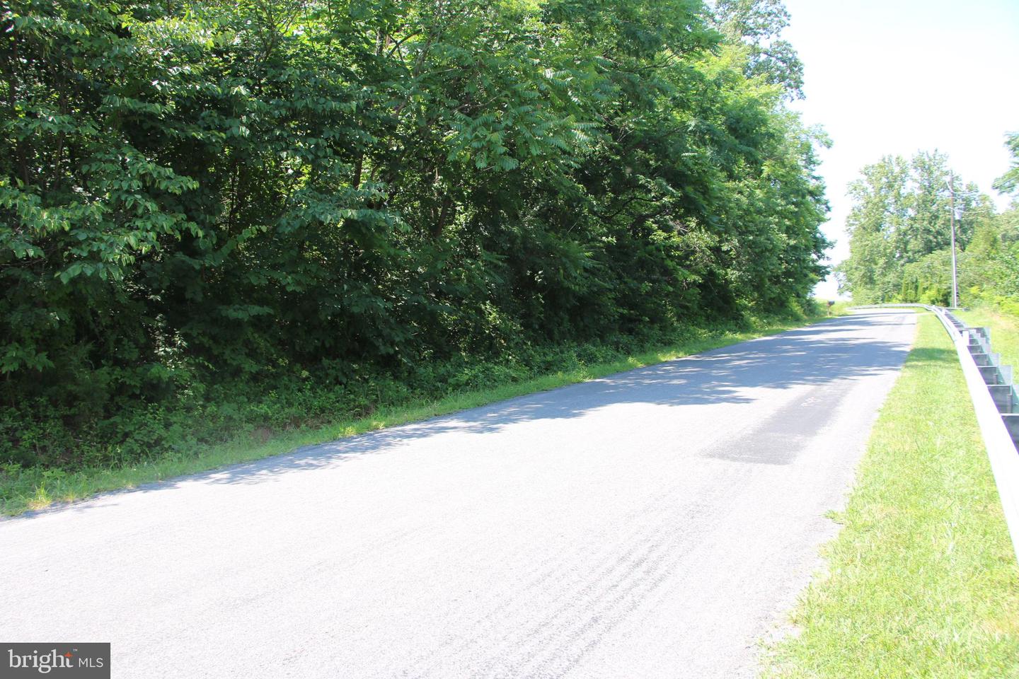 BUCK MOUNTAIN RD, BENTONVILLE, Virginia 22610, ,Land,For sale,BUCK MOUNTAIN RD,VAWR2011820 MLS # VAWR2011820