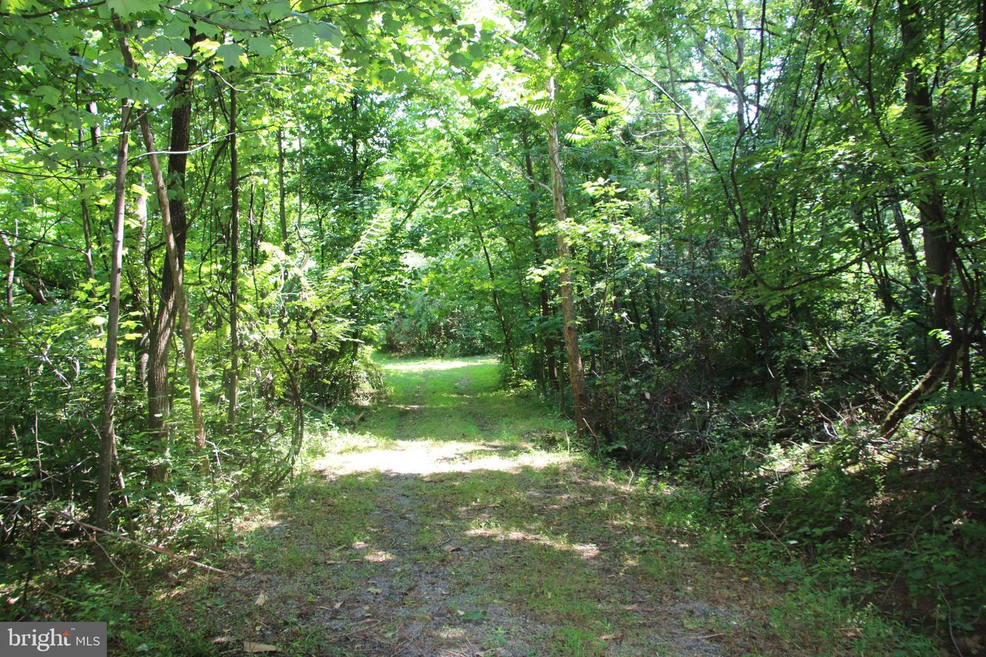 BUCK MOUNTAIN RD, BENTONVILLE, Virginia 22610, ,Land,For sale,BUCK MOUNTAIN RD,VAWR2011820 MLS # VAWR2011820