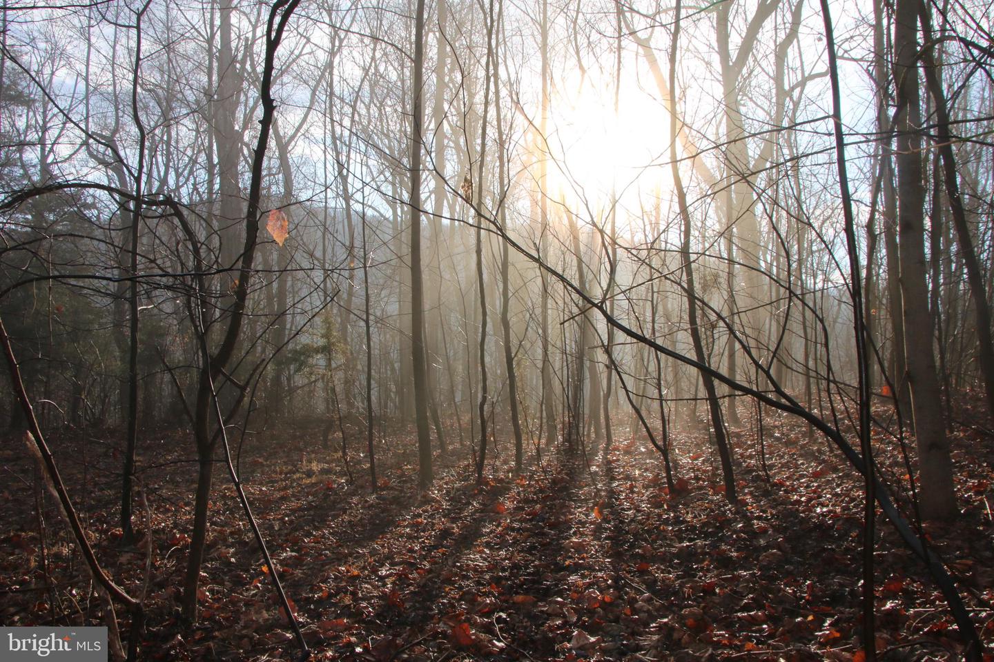 BUCK MOUNTAIN RD, BENTONVILLE, Virginia 22610, ,Land,For sale,BUCK MOUNTAIN RD,VAWR2011820 MLS # VAWR2011820