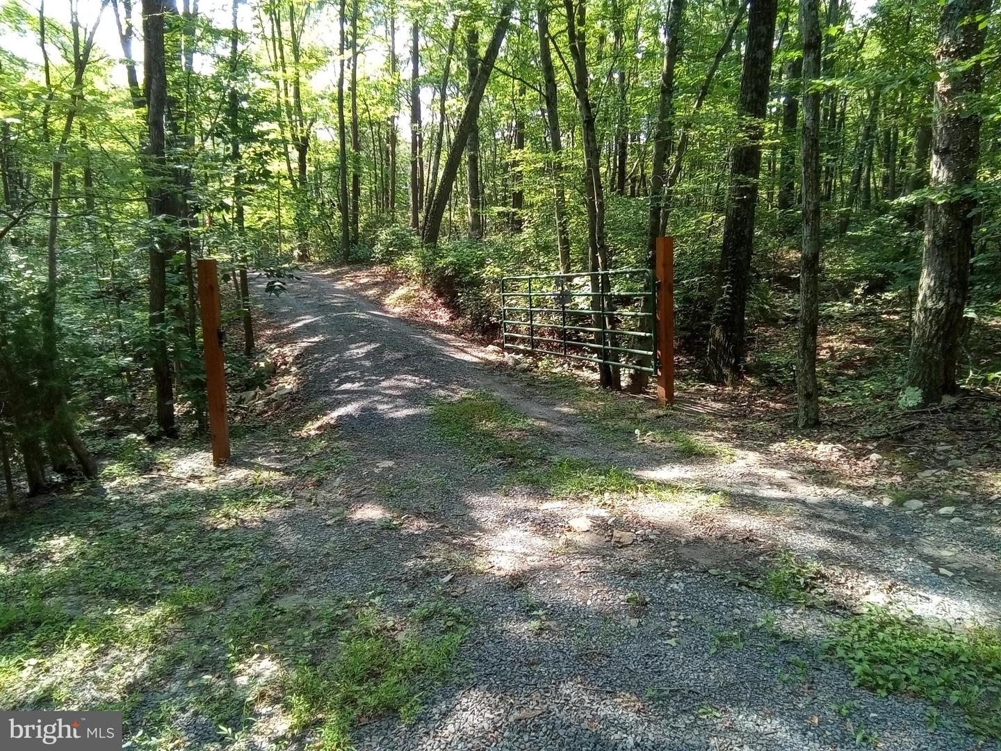 THREE MILE BANK LANE, EDINBURG, Virginia 22824, ,Land,For sale,THREE MILE BANK LANE,VASH2012114 MLS # VASH2012114