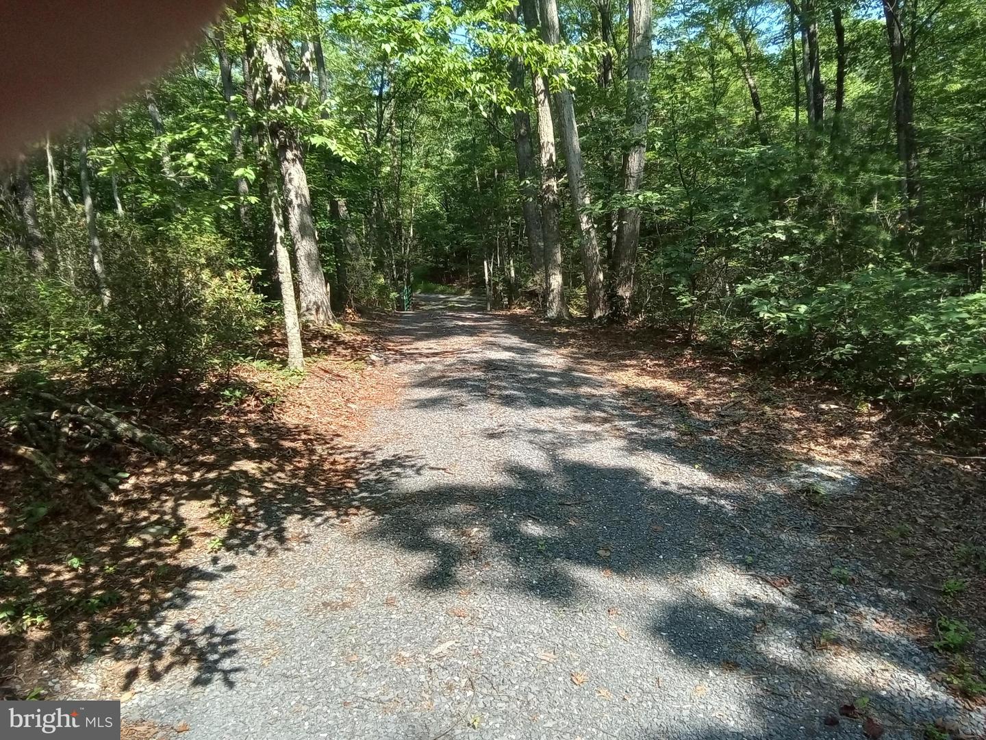 THREE MILE BANK LANE, EDINBURG, Virginia 22824, ,Land,For sale,THREE MILE BANK LANE,VASH2012114 MLS # VASH2012114