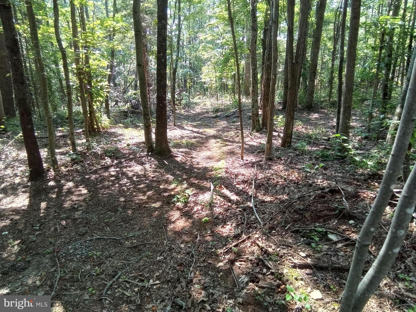 THREE MILE BANK LANE, EDINBURG, Virginia 22824, ,Land,For sale,THREE MILE BANK LANE,VASH2012114 MLS # VASH2012114