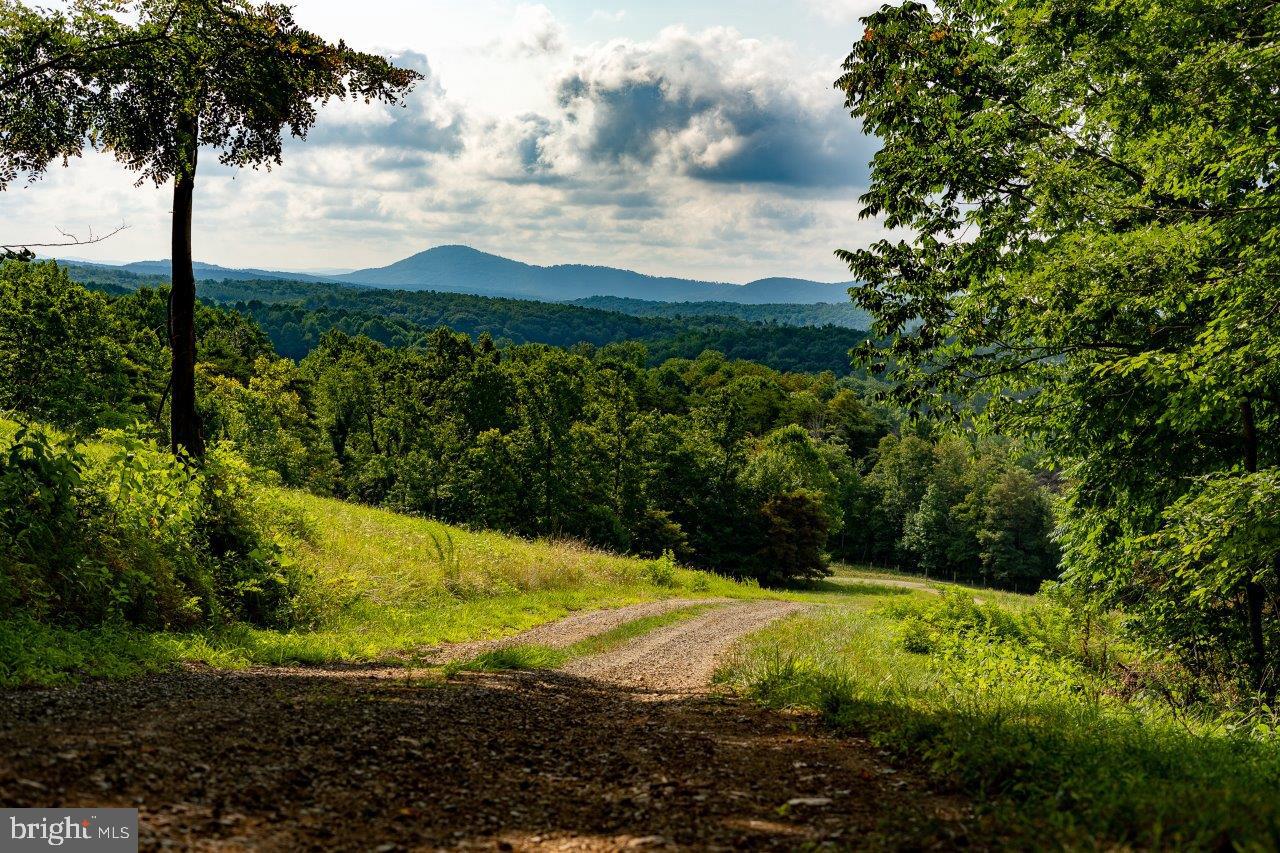 0 FOOTHILLS RD, CALLAWAY, Virginia 24067, ,Farm,For sale,0 FOOTHILLS RD,VAFK2000082 MLS # VAFK2000082