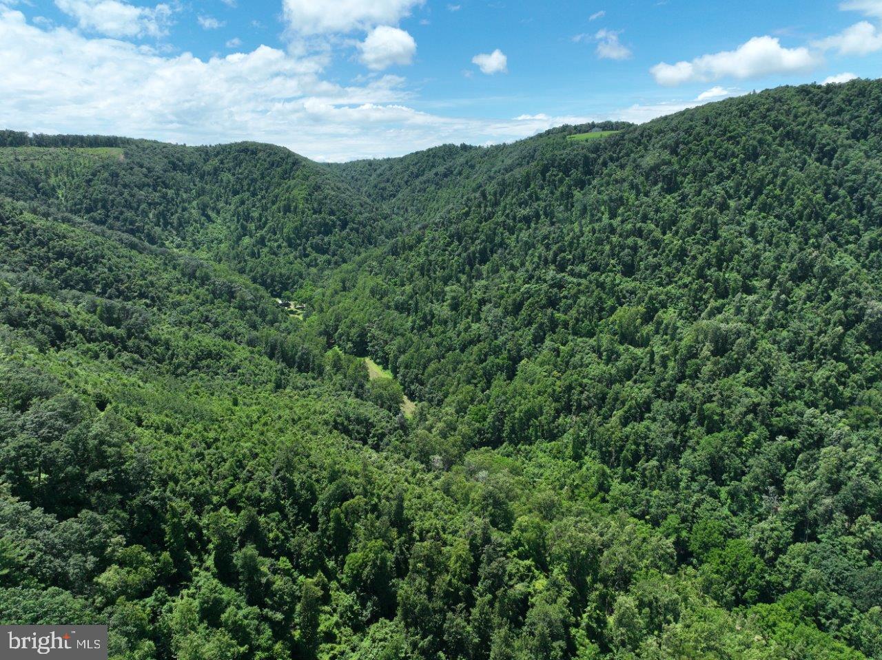 0 FOOTHILLS RD, CALLAWAY, Virginia 24067, ,Farm,For sale,0 FOOTHILLS RD,VAFK2000082 MLS # VAFK2000082