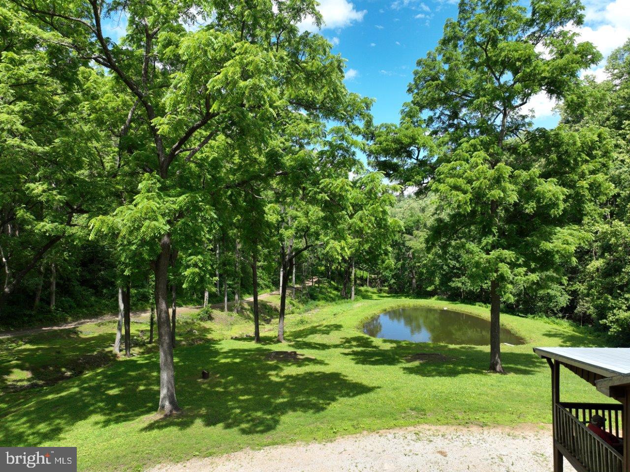 0 FOOTHILLS RD, CALLAWAY, Virginia 24067, ,Farm,For sale,0 FOOTHILLS RD,VAFK2000082 MLS # VAFK2000082