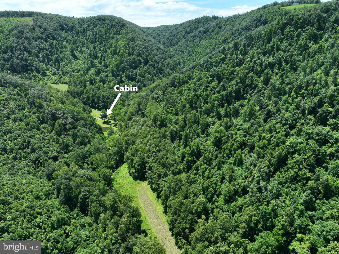 0 FOOTHILLS RD, CALLAWAY, Virginia 24067, ,Farm,For sale,0 FOOTHILLS RD,VAFK2000082 MLS # VAFK2000082