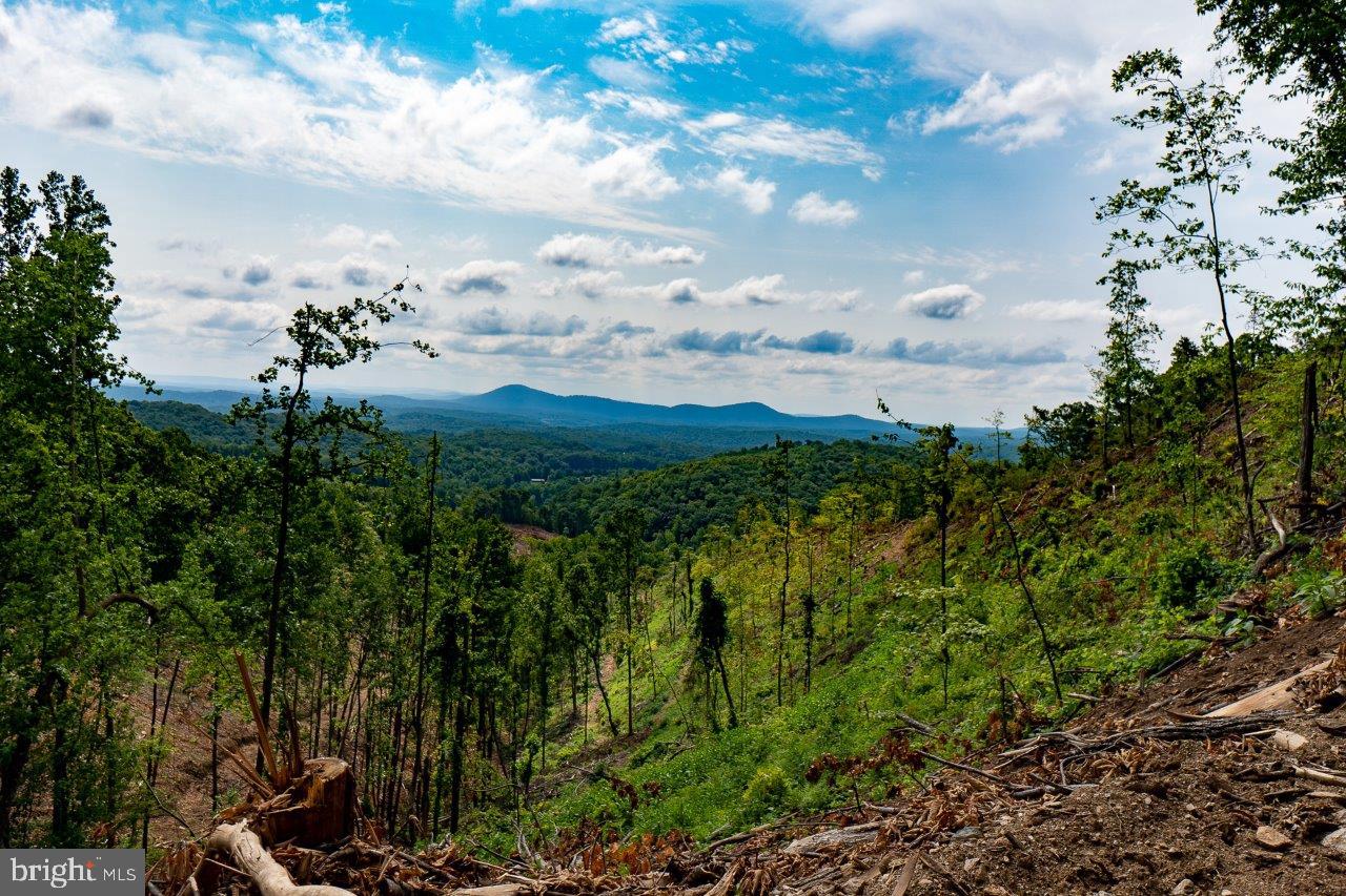 0 FOOTHILLS RD, CALLAWAY, Virginia 24067, ,Farm,For sale,0 FOOTHILLS RD,VAFK2000082 MLS # VAFK2000082