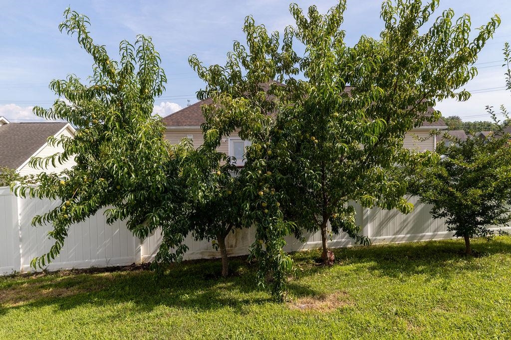 1311 LITTLE SORREL DR, HARRISONBURG, Virginia 22801, 5 Bedrooms Bedrooms, ,3 BathroomsBathrooms,Residential,1311 LITTLE SORREL DR,667231 MLS # 667231