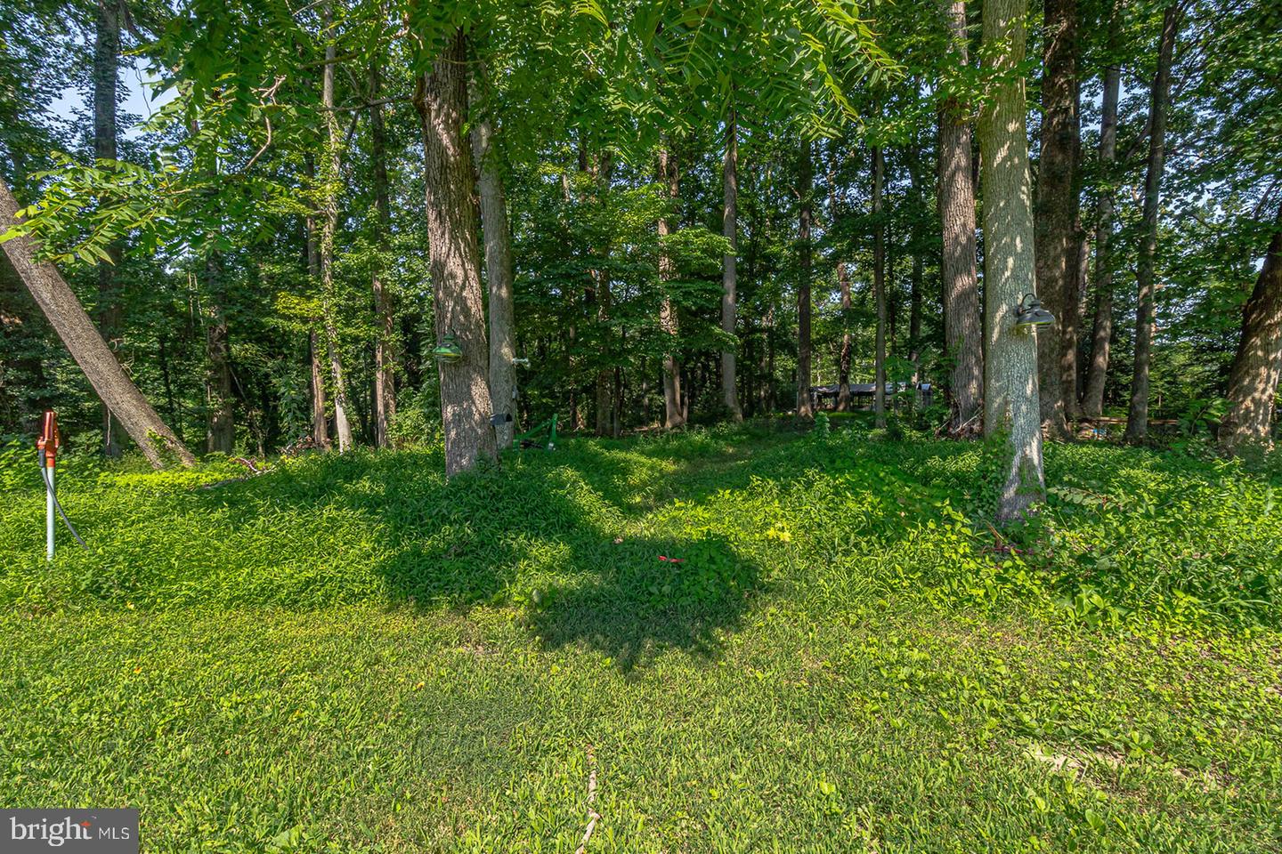 813 COAN HARBOUR DR, LOTTSBURG, Virginia 22511, 4 Bedrooms Bedrooms, 9 Rooms Rooms,3 BathroomsBathrooms,Residential,For sale,813 COAN HARBOUR DR,VANV2001698 MLS # VANV2001698