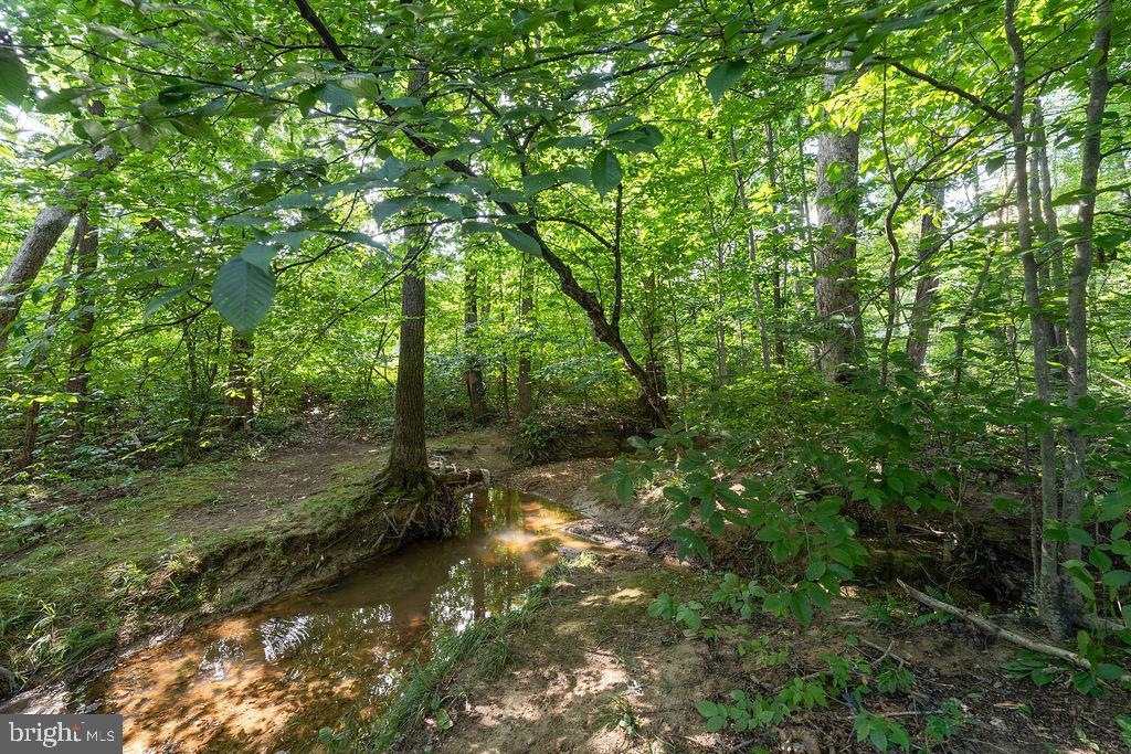 127 SAYLERS CREEK RD, LOCUST GROVE, Virginia 22508, 4 Bedrooms Bedrooms, ,2 BathroomsBathrooms,Residential,For sale,127 SAYLERS CREEK RD,VAOR2010314 MLS # VAOR2010314